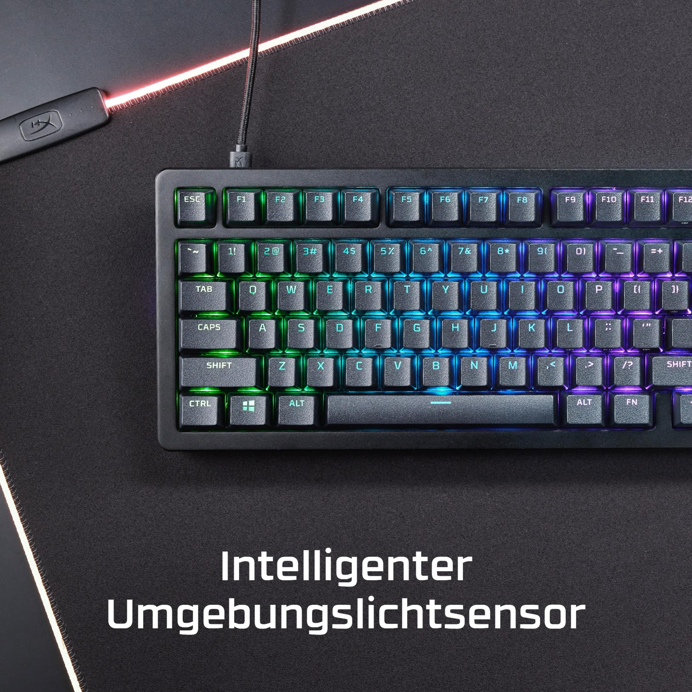 Schwarze Tastatur mit hintergrundbeleuchteten Tasten. Bunte Lichter beleuchten die Buchstaben.