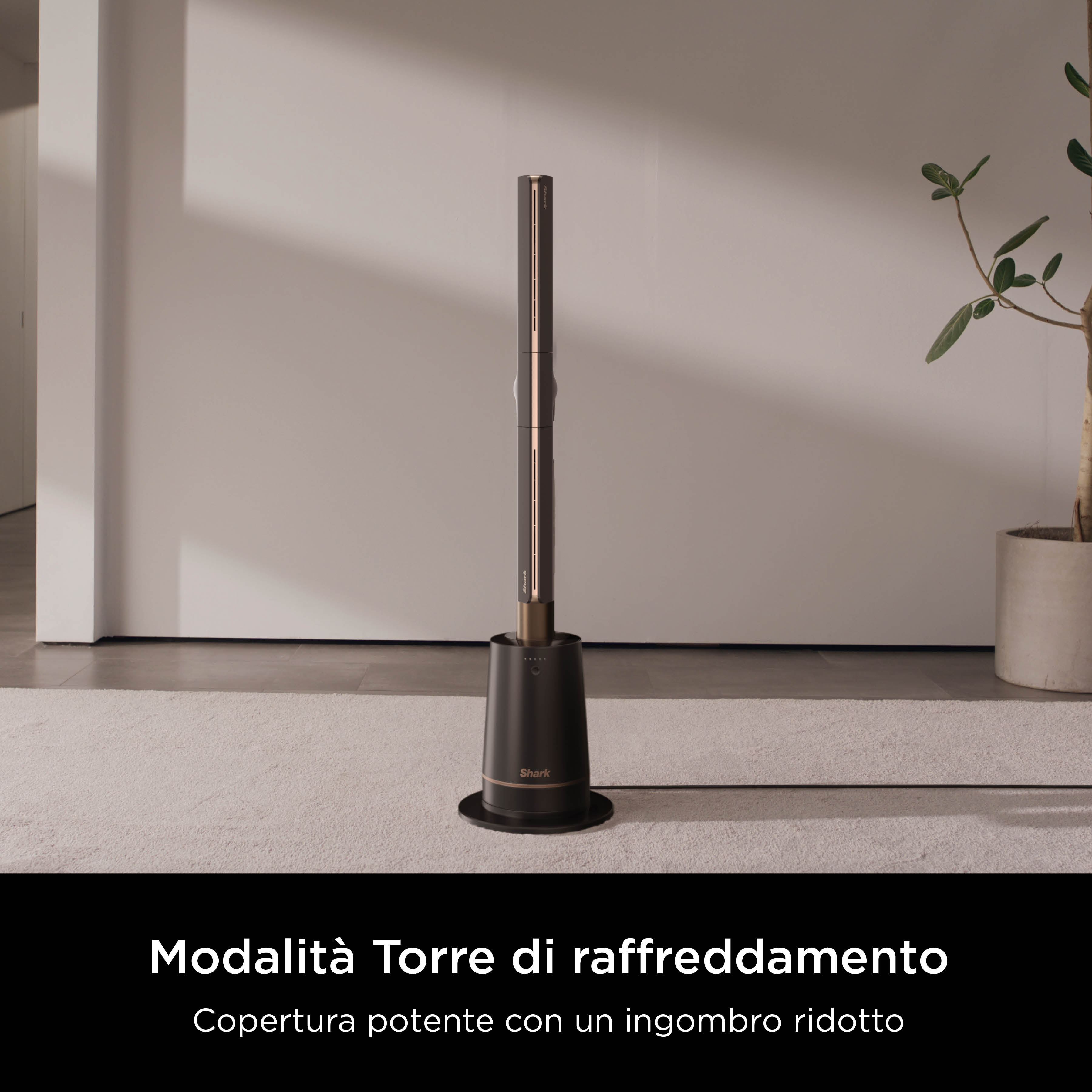 Czarny wentylator Shark. Jest wysoki i smukły, z okrągłą podstawą. Znajduje się w białym pomieszczeniu.