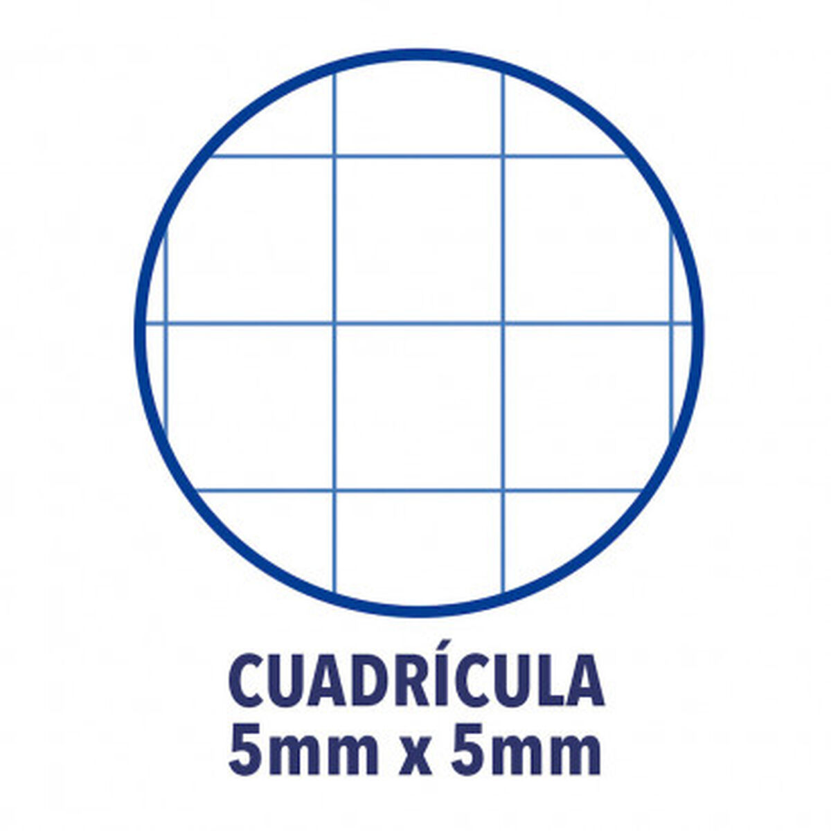 Białe tło z niebieskim okręgiem, niebieską siatką i tekstem 'CUADRÍCULA 5mm x 5mm'.