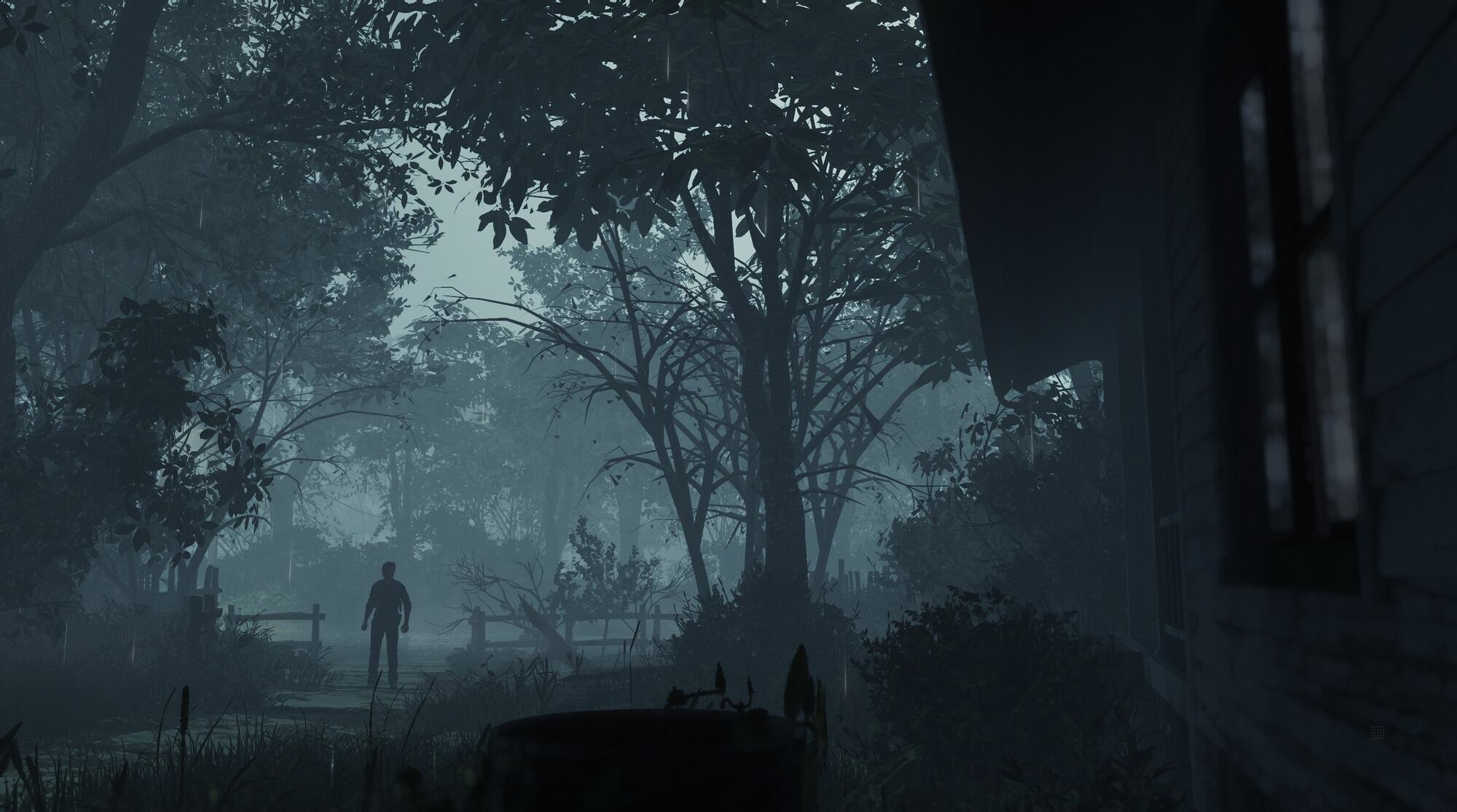 Scena leśna: Osoba idąca ścieżką w ciemnym, mglistym lesie, widoczny dom.