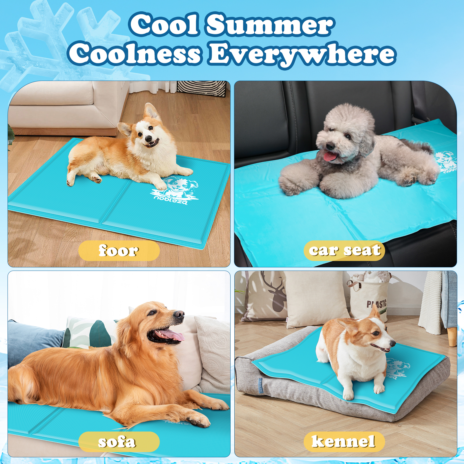 Cuatro imágenes con perros sobre esteras azules. Lugares: suelo, asiento de coche, sofá, perrera.
