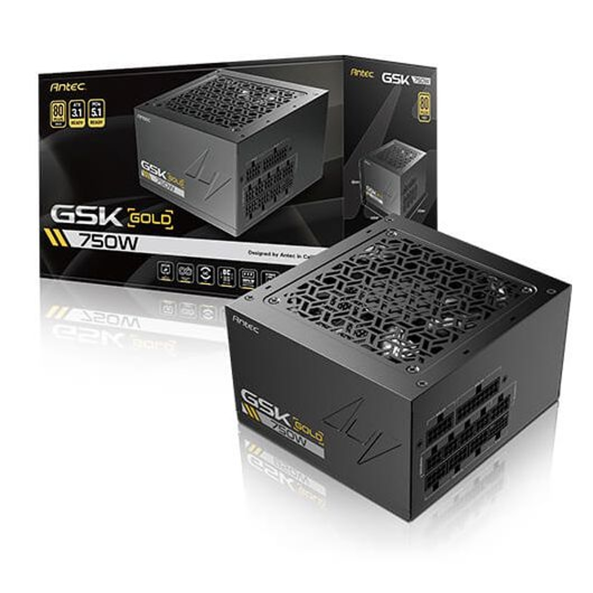 Una fuente de alimentación de computadora negra con caja. La caja y la unidad dicen 'GSK Gold 750W'.