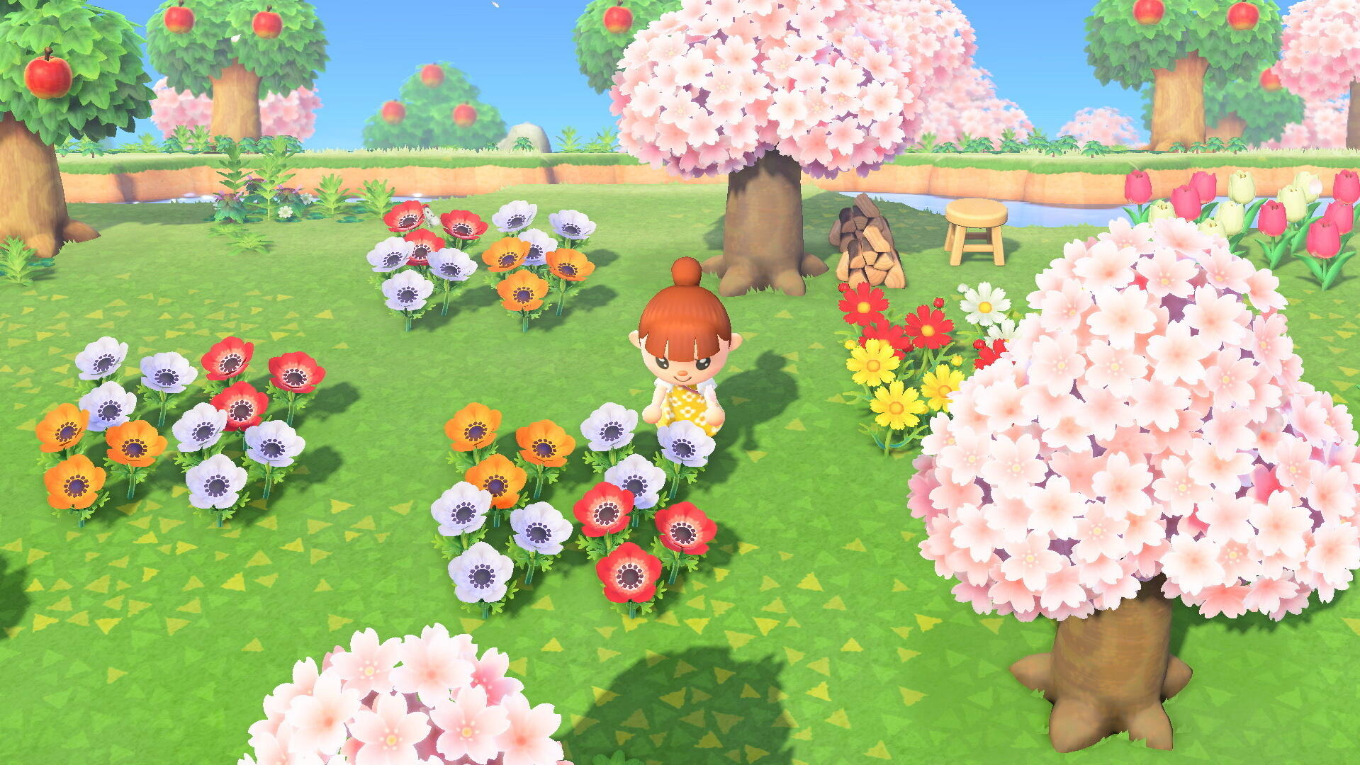 Escena de Animal Crossing: un jugador entre flores coloridas y cerezos en flor.