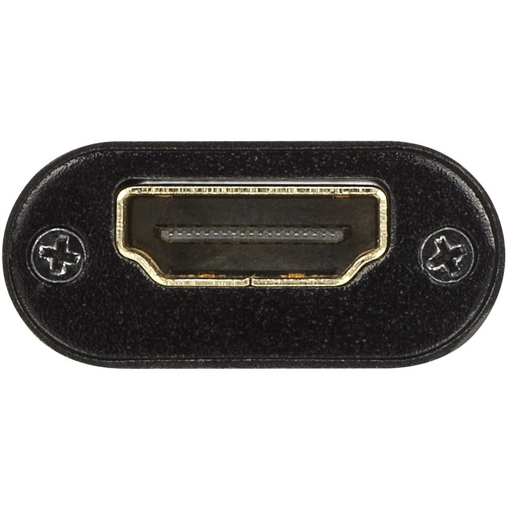 Connettore per porta HDMI nero. Due viti laterali. Colore oro all'interno.