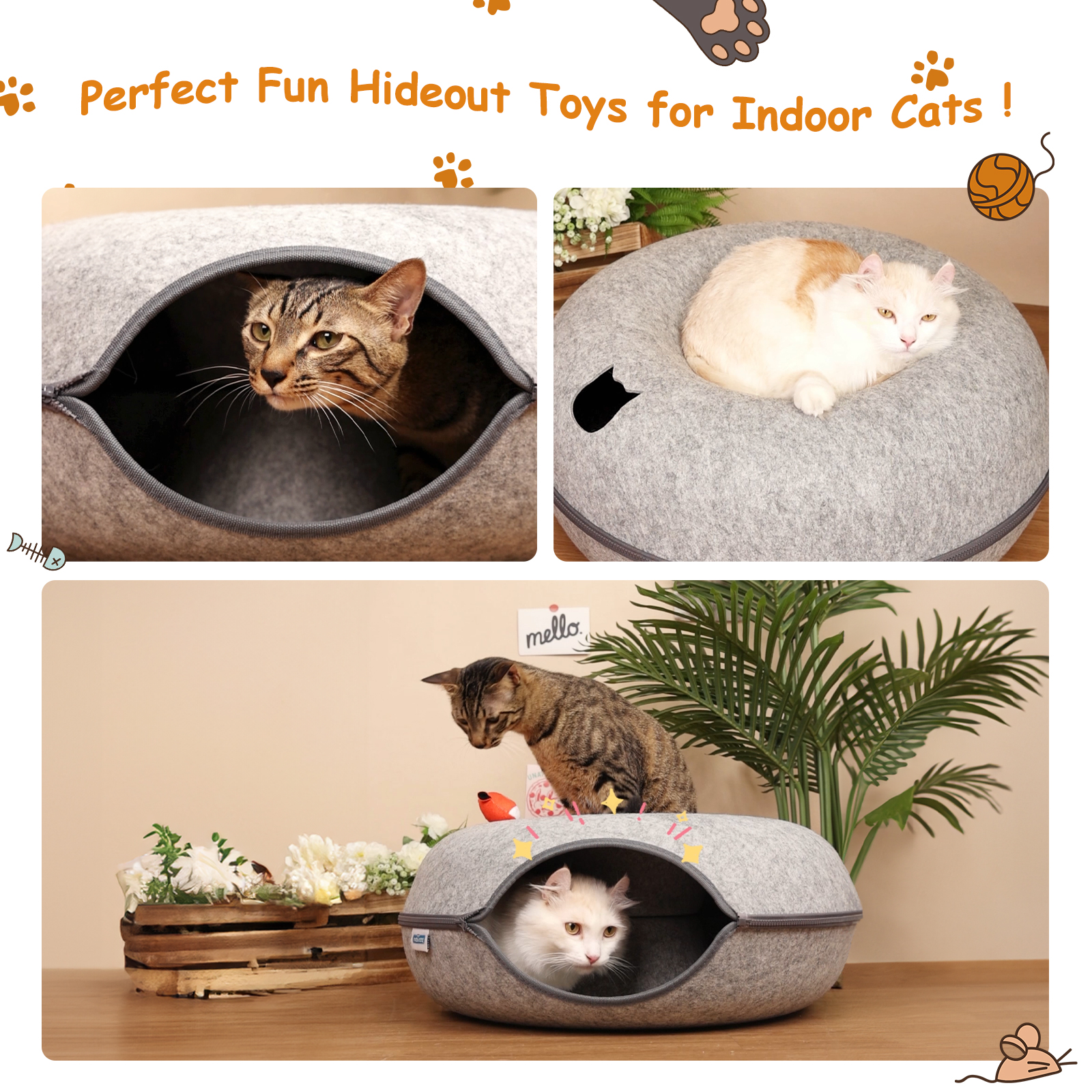 Múltiples imágenes de gatos en una cama gris en forma de rosquilla, con una caja de madera y plantas.