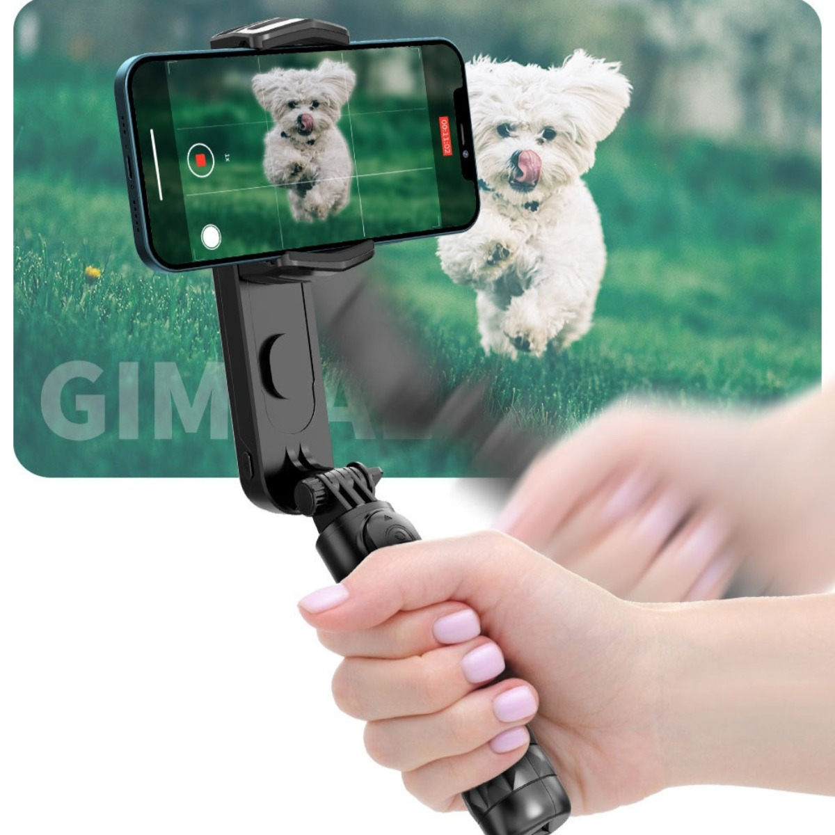 Ein Telefon auf einem Selfie-Stick zeigt ein Hundebild, gehalten von Händen, grüner Hintergrund.