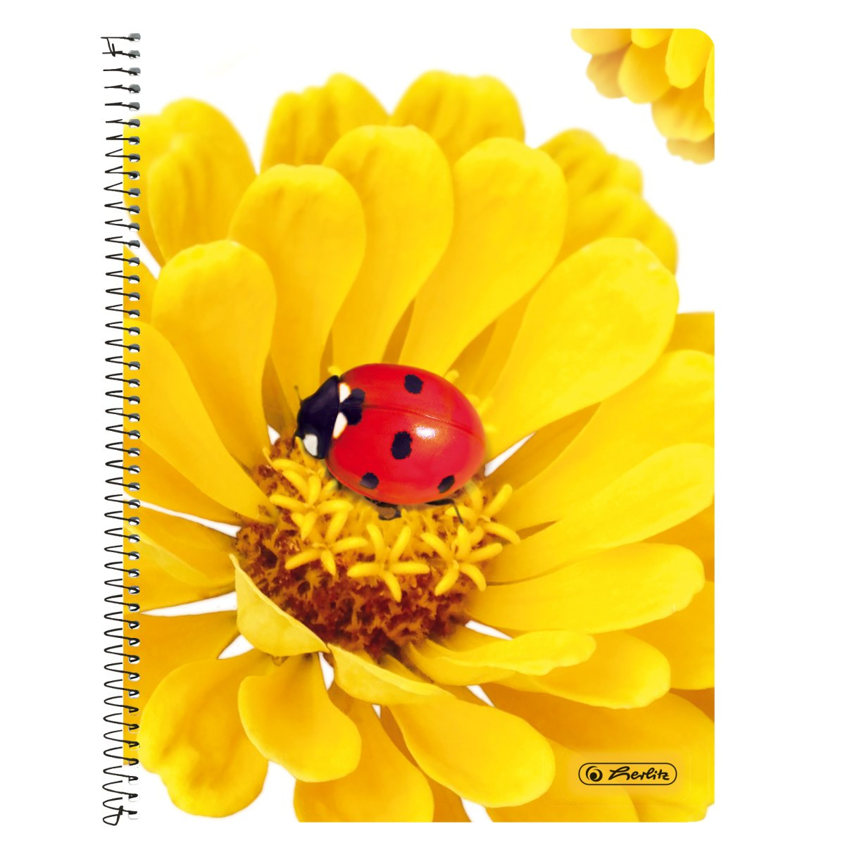 Spiralnotizbuch mit gelber Blume und rotem Marienkäfer. Berlite-Logo.
