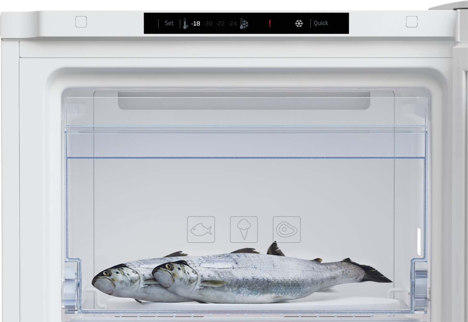 Eine Gefrierschublade mit zwei Fischen darin. Die Schublade befindet sich in einem weißen Gefrierschrank.
