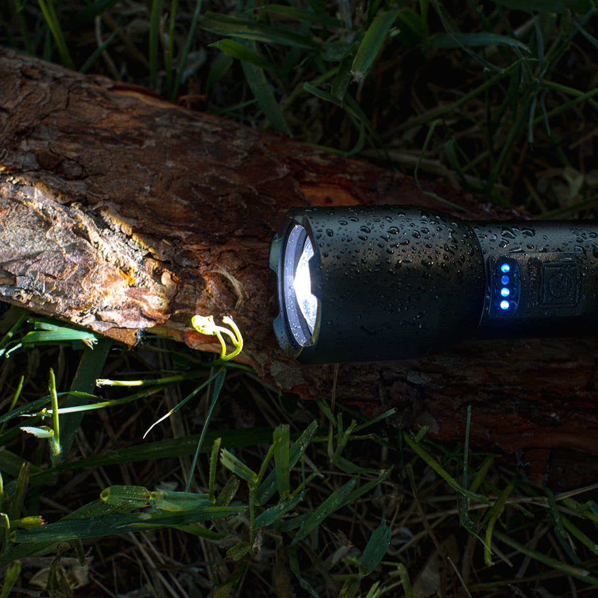 Czarna latarka z kroplami wody, leżąca na ziemi z trawą i kłodą drewna.