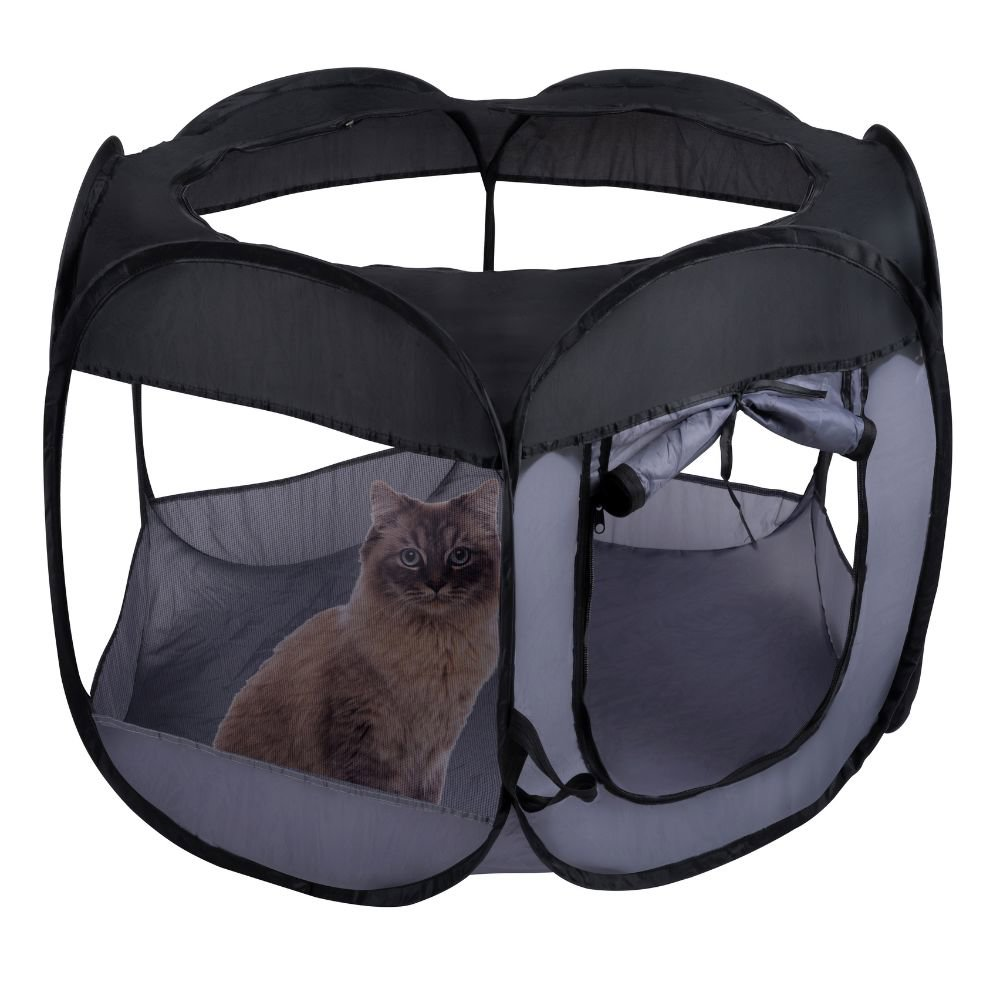 A cat in a black and grey pet playpen. The pen is open and the cat is looking at the camera.
