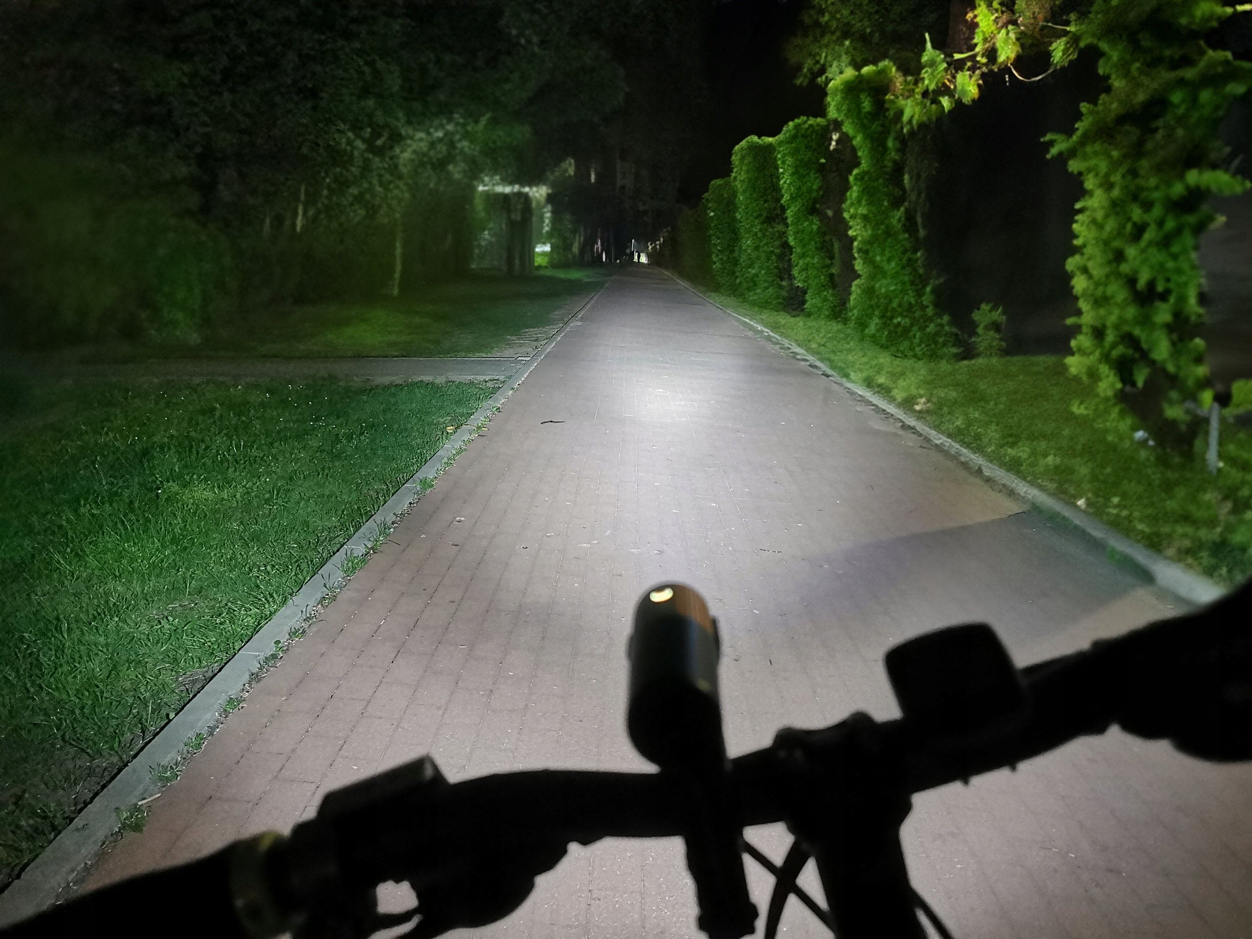 Nocny widok ścieżki rowerowej oświetlonej światłami rowerowymi, z drzewami po obu stronach.