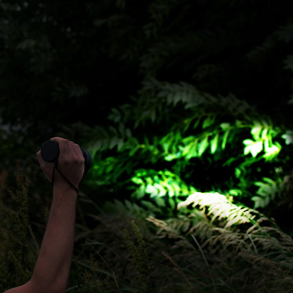 Dłoń trzymająca latarkę, oświetlająca zielone liście.
