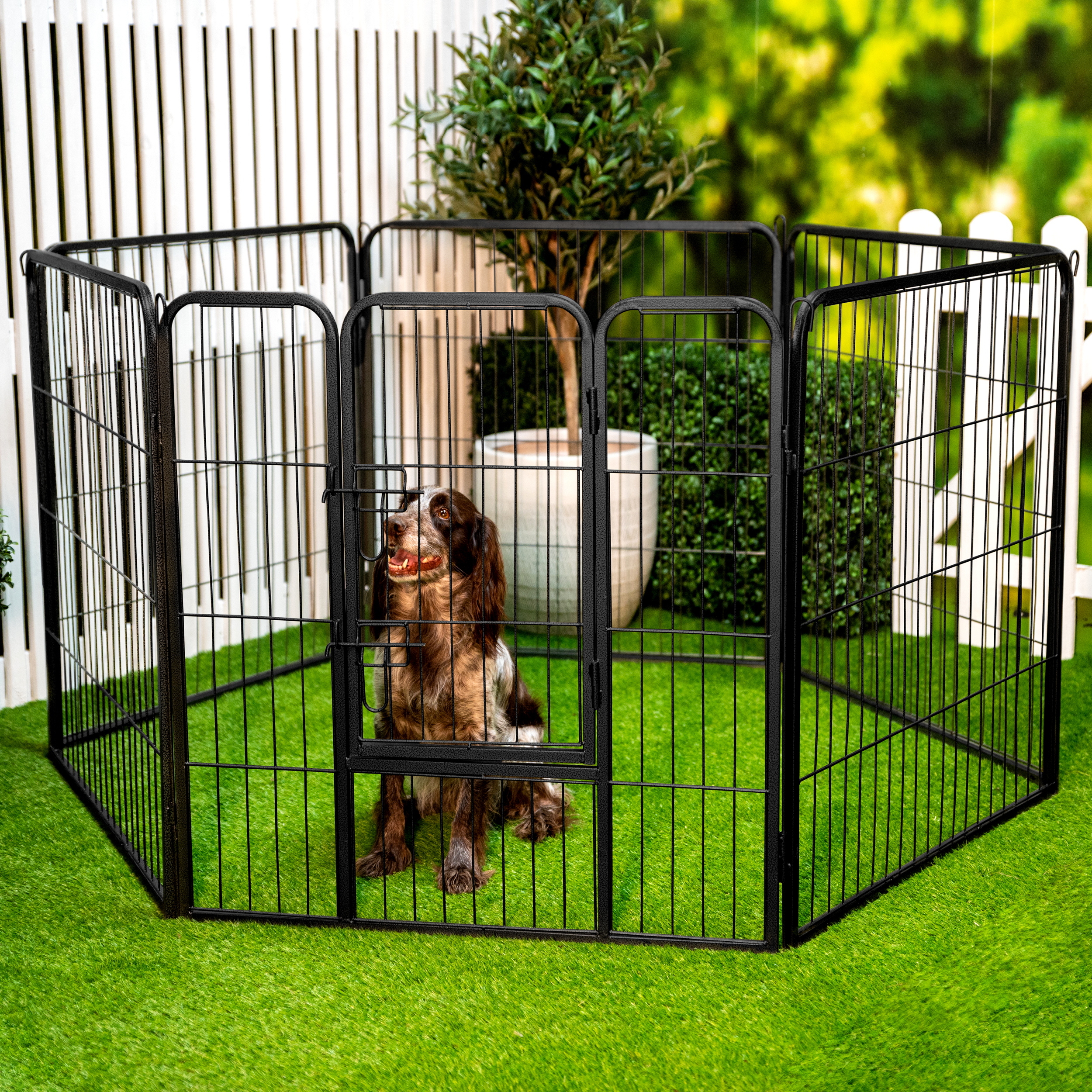 A dog in a black metal pet pen on green grass with a white fence background.