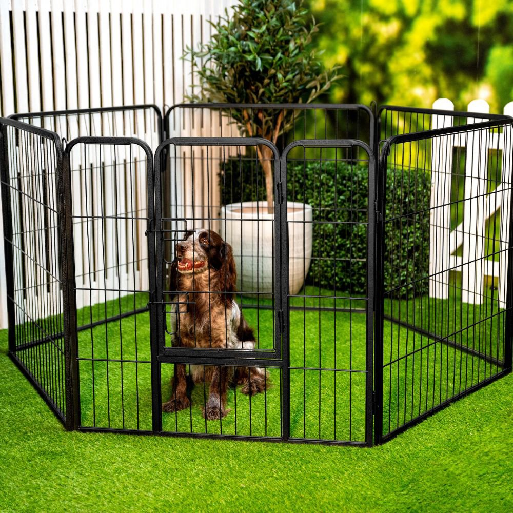 A dog sits in a black wire enclosure on green grass, with a white fence in the background.