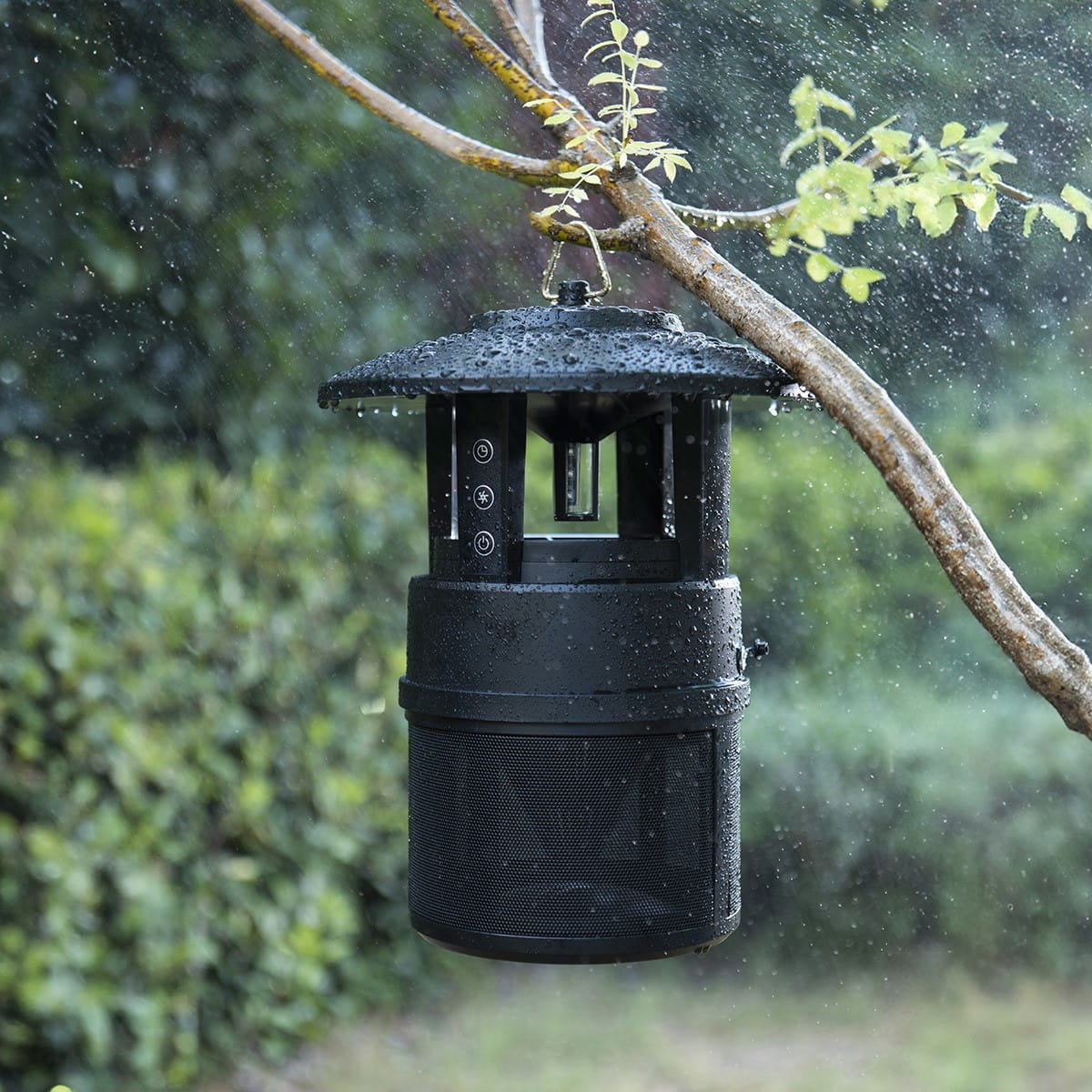 Czarny zabójca owadów wiszący na gałęzi, ze włączonymi światłami, pada deszcz.