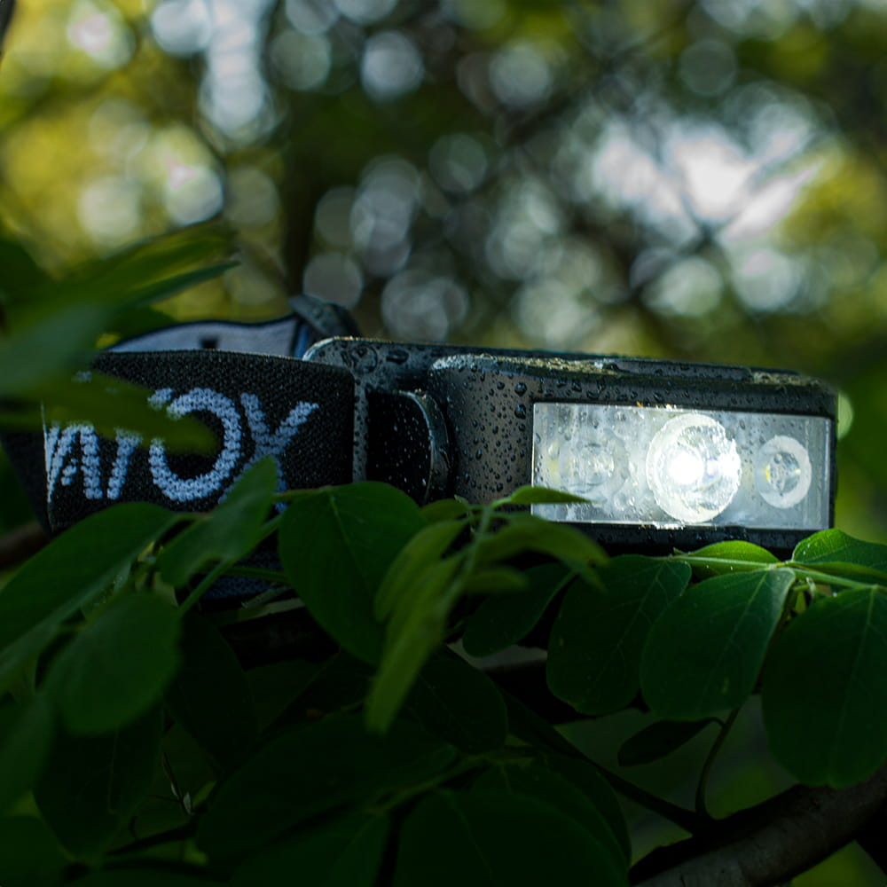 Czarna lampa czołowa z paskiem na gałęziach drzew. Zielone liście w tle.