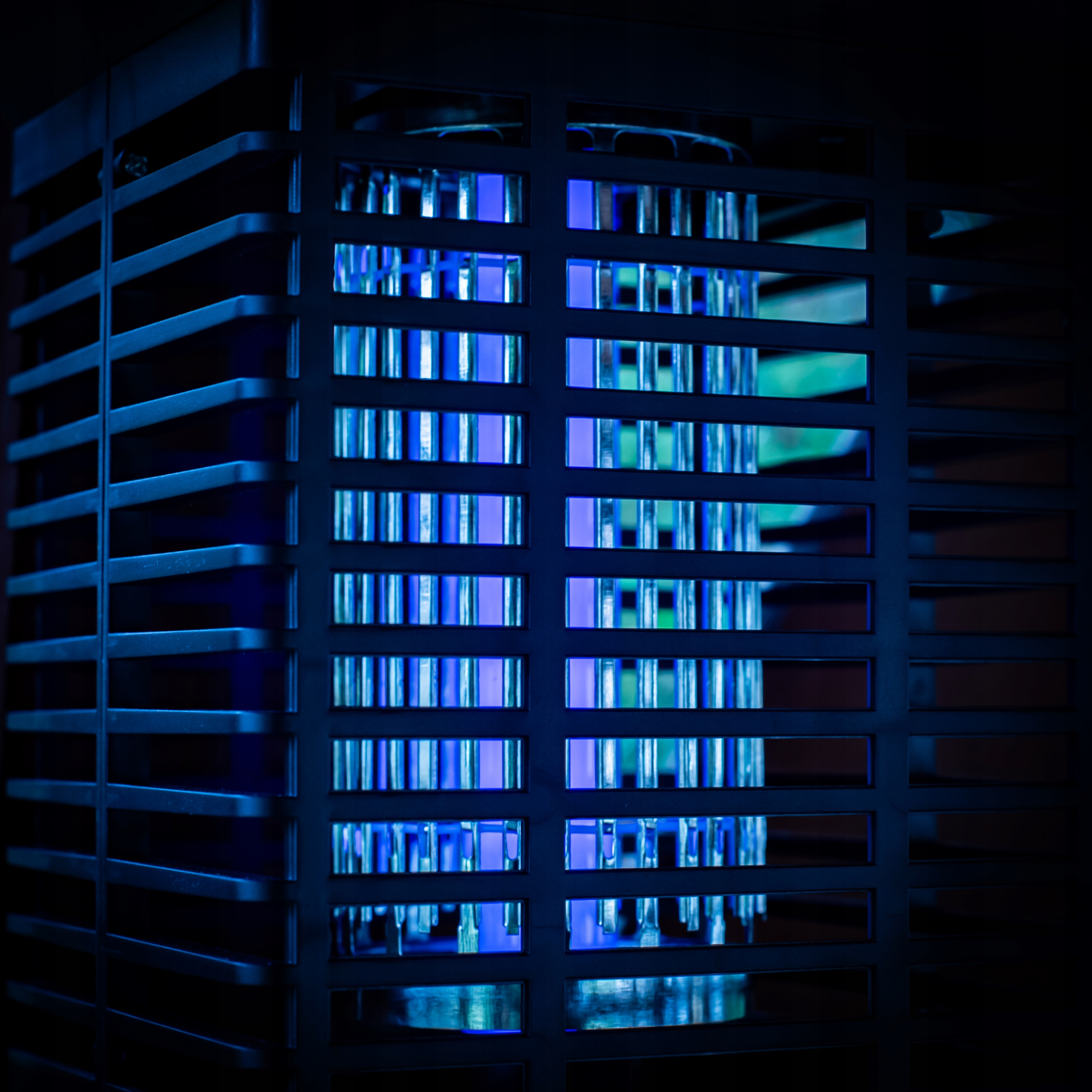 Zbliżenie na zabójcę owadów, emitujące niebieskie światło w czarnej klatce.