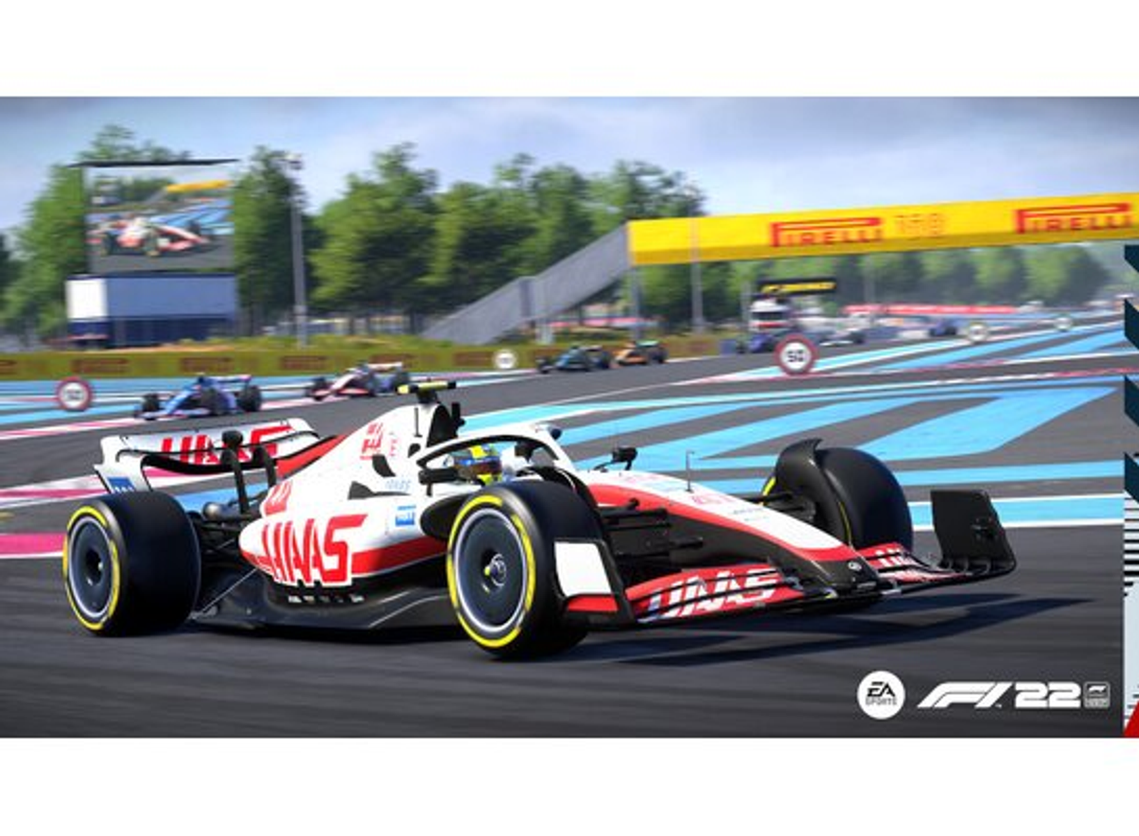 Gara di Formula 1 in pista, auto Haas in primo piano, sfondo sfocato.