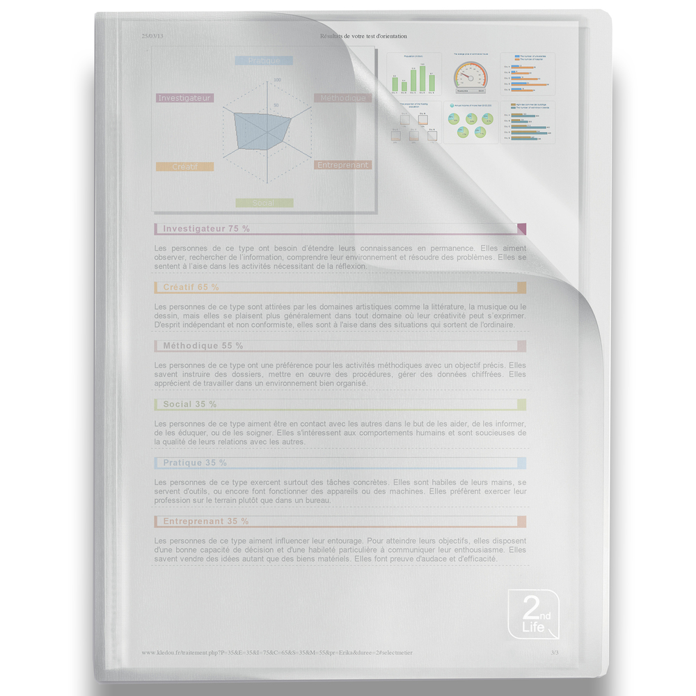 Raport z wykresami i tekstem o cechach osobowości i wynikach.
