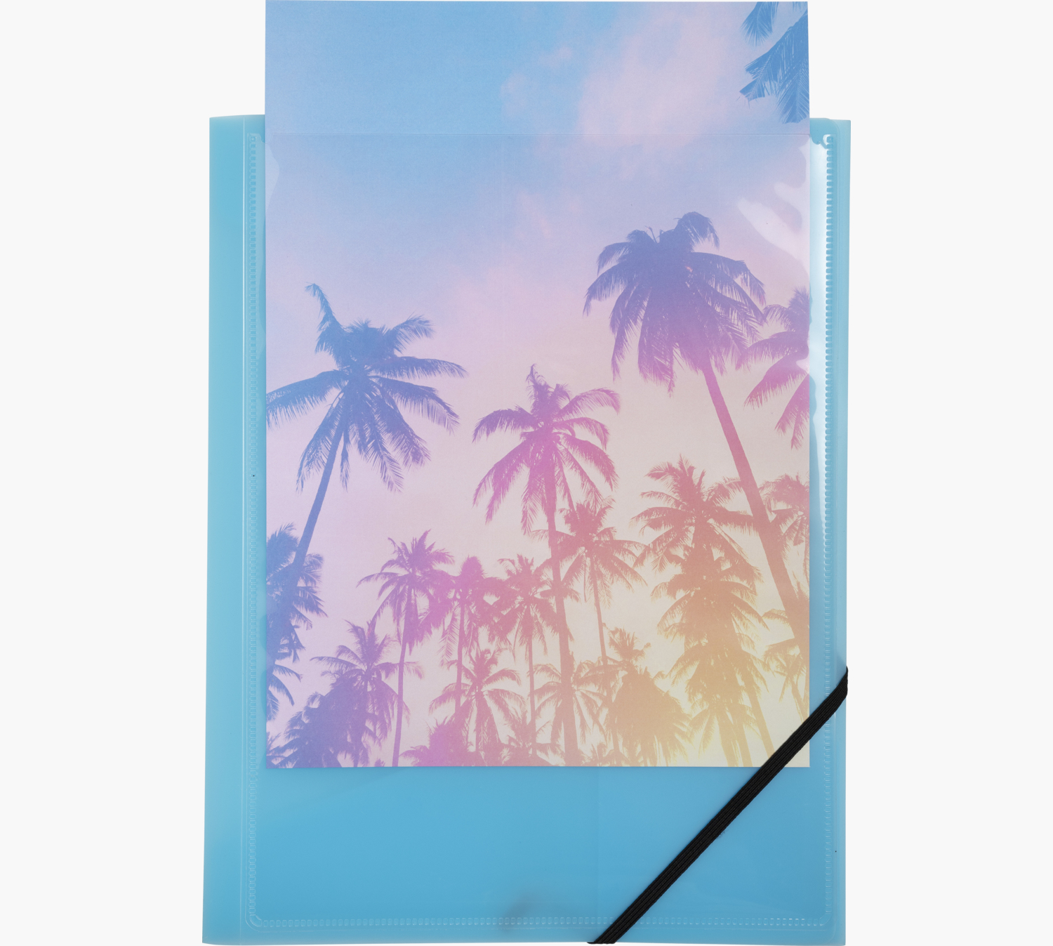 Niebieska teczka ze zdjęciem palm. Czarny pasek trzyma teczkę. Białe tło.