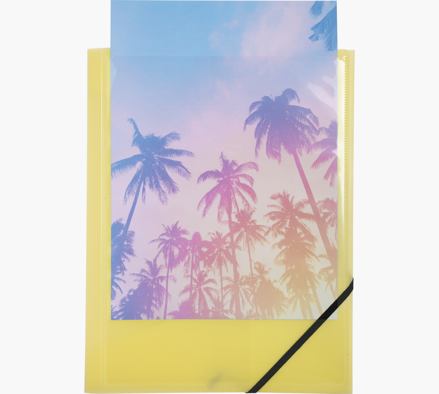 Żółta teczka na dokumenty ze zdjęciem palm w środku. Czarna gumka trzyma ją zamkniętą.