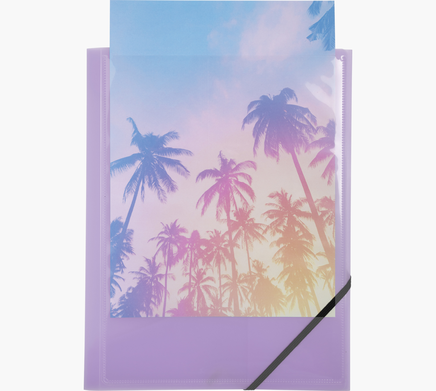 Fioletowa teczka ze zdjęciem palm. Białe tło.