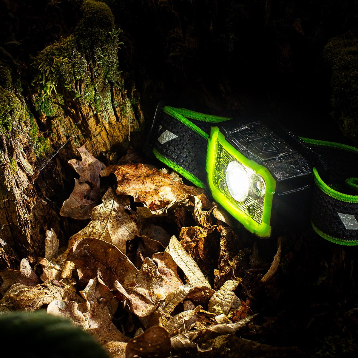 Latarka czołowa w leśnym otoczeniu. Oświetla martwe liście na ziemi.