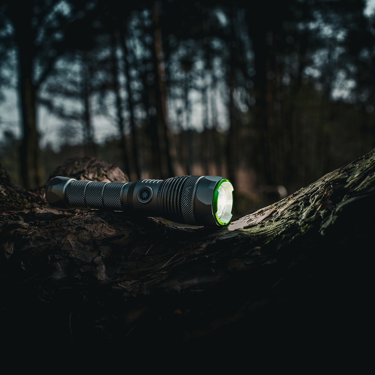 Srebrna latarka na kłodzie w ciemnym lesie, światło jest włączone.