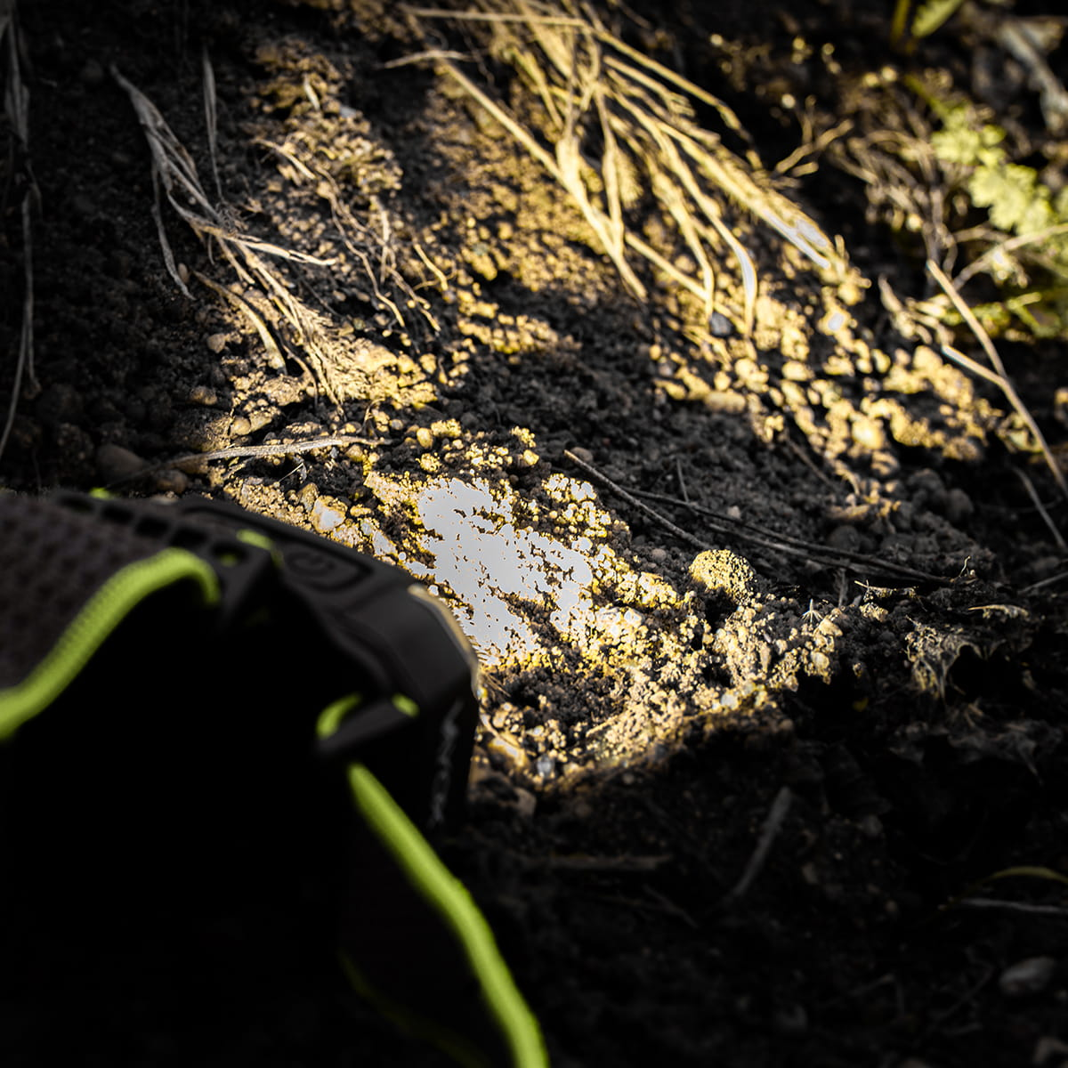 Zbliżenie ziemi, but w lewym rogu, z jasnym punktem.