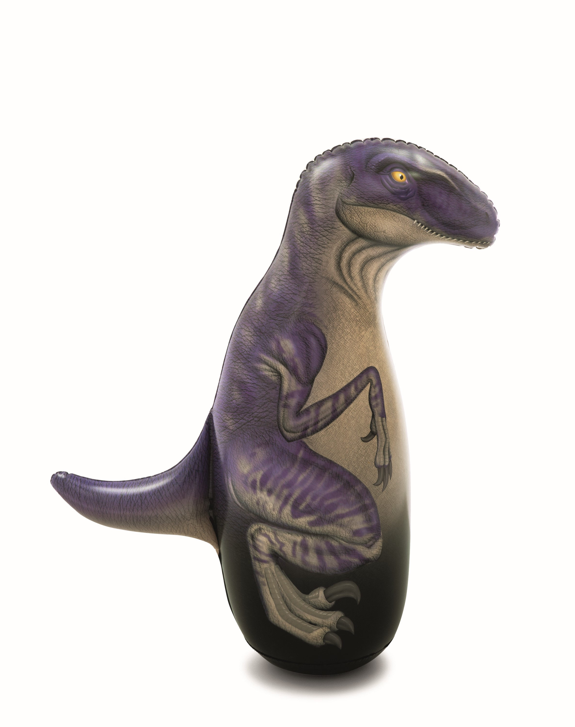 Dmuchany Velociraptor. Jest fioletowy i patrzy w lewo.