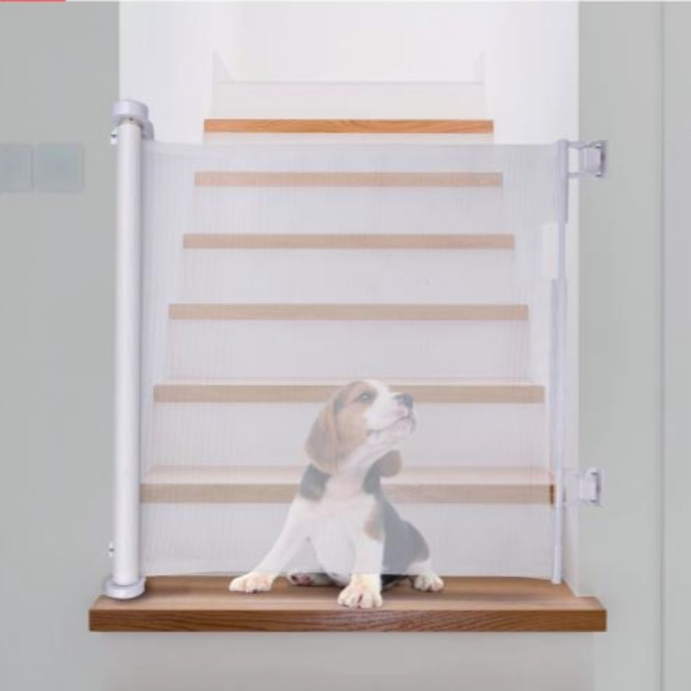 Beagle puppy sitting on a stair landing, looking up, with a safety gate.