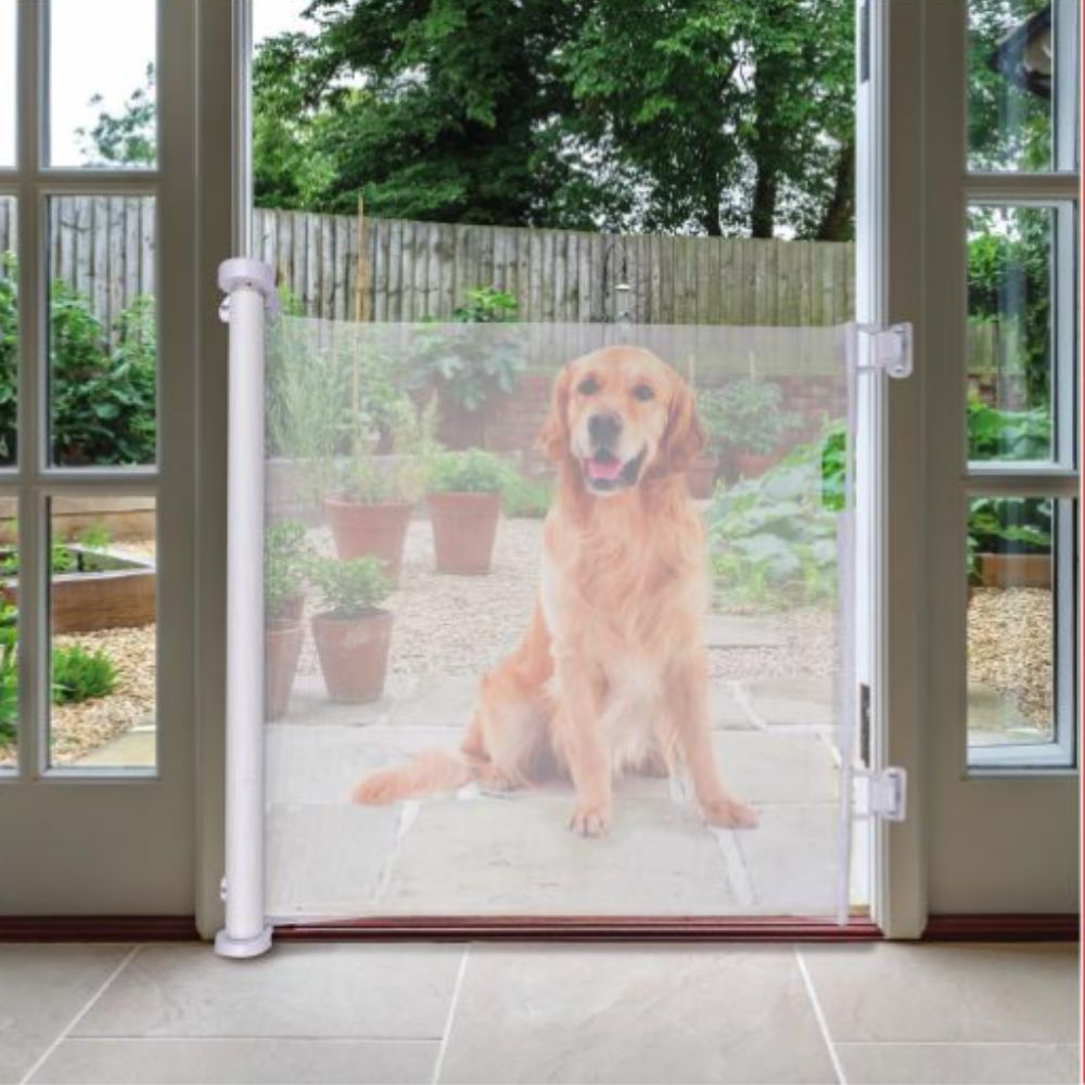 A golden retriever sits behind a retractable baby gate in a doorway, looking at the camera.