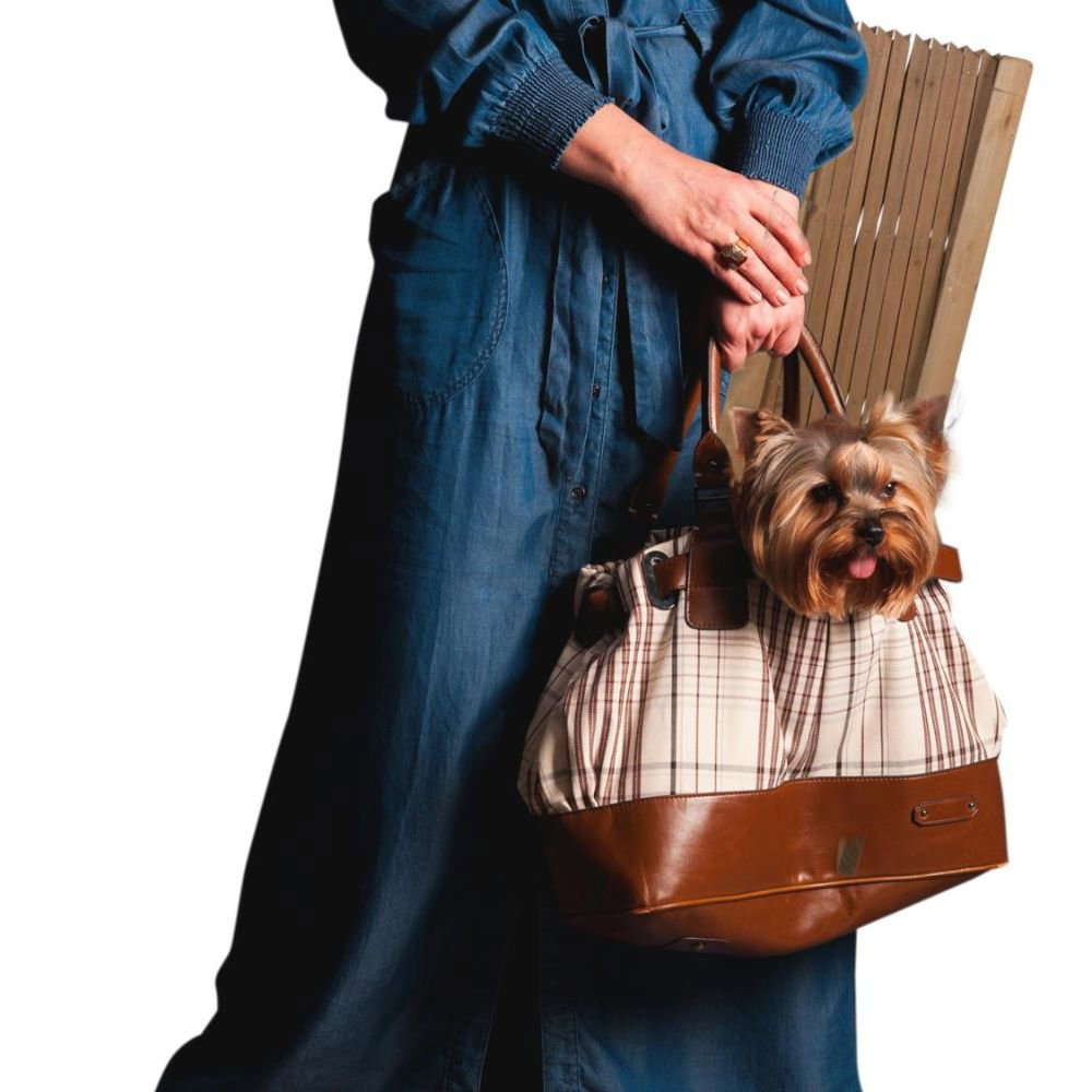 Woman in denim dress holding a brown bag with a dog inside, in front of a wooden fence.