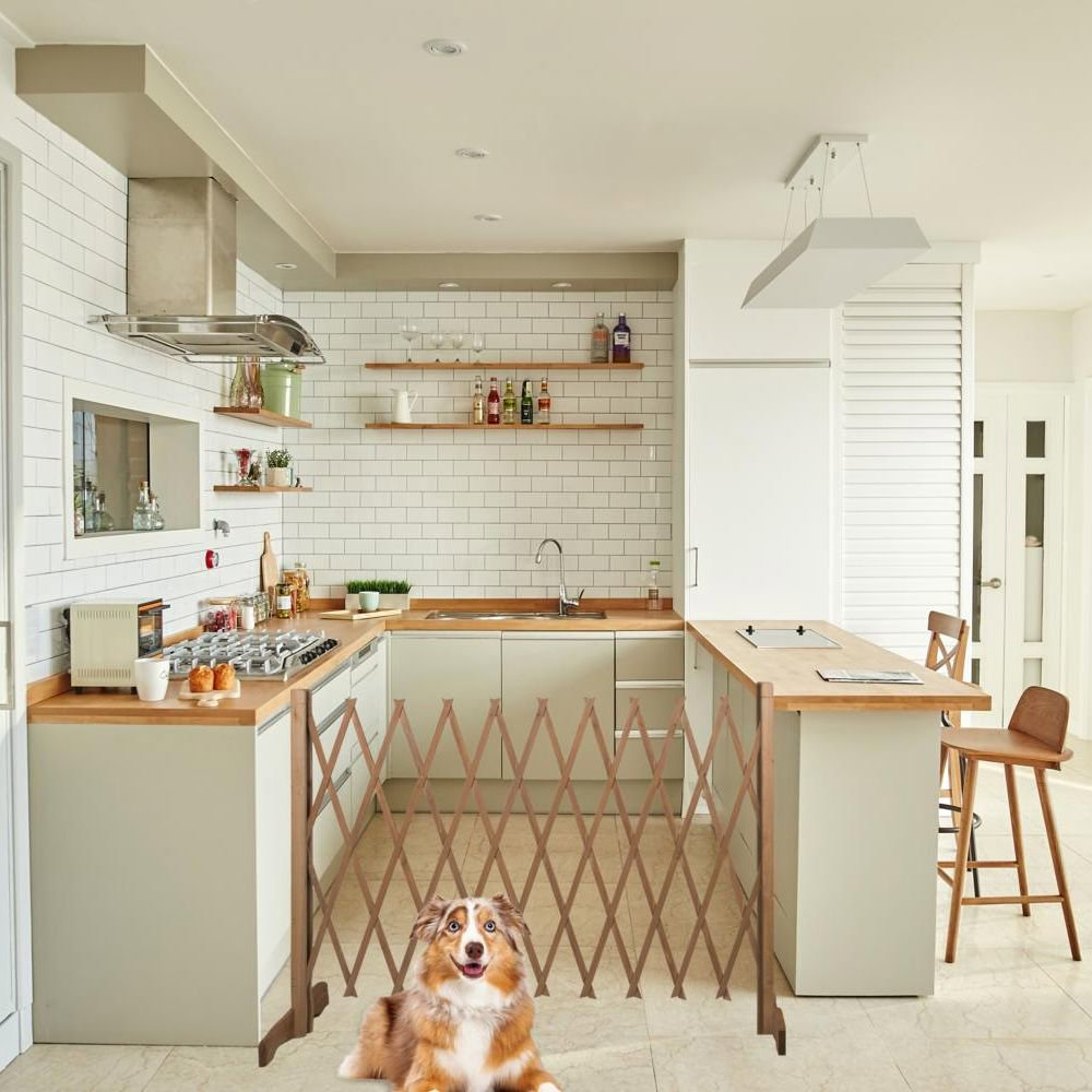 Kitchen scene with a dog. Expanding wooden gate blocks the kitchen. The dog is brown/white.