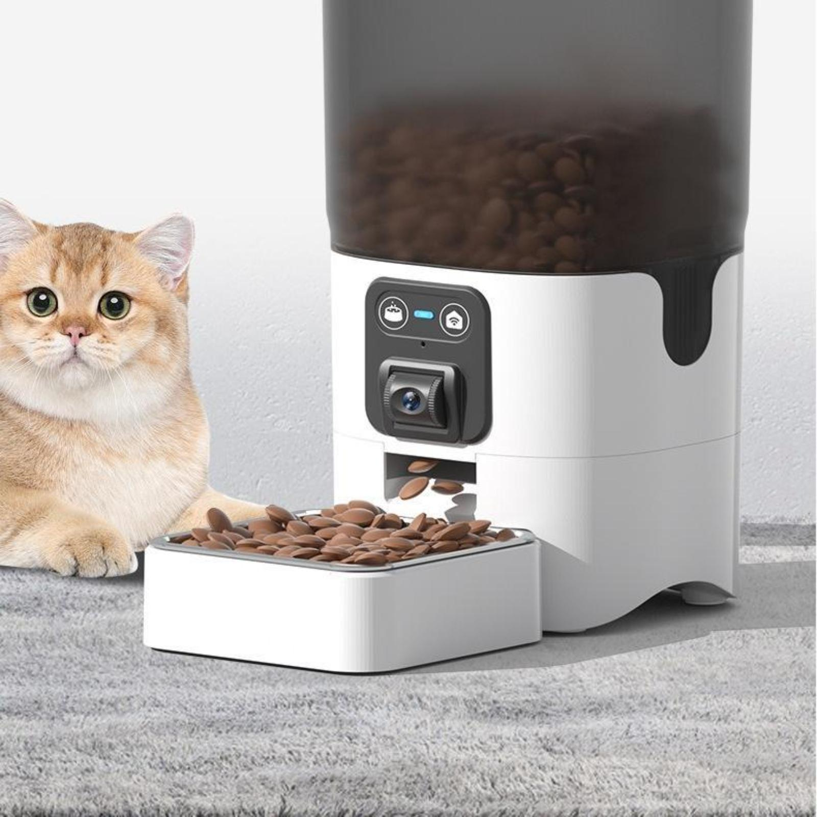 Eine Katze beobachtet einen automatischen Futterautomaten, der Futter in eine Schüssel abgibt.