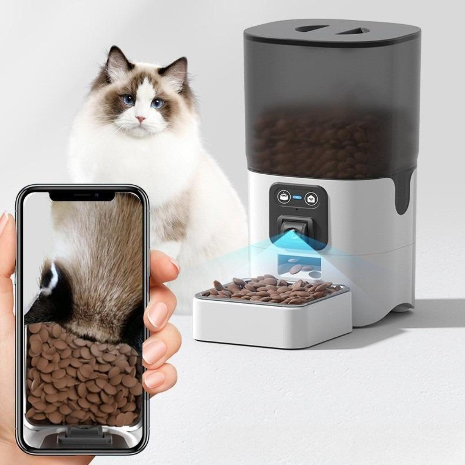 Eine Katze betrachtet ein Telefon, das Katzenfutter zeigt, in der Nähe eines automatischen Futterautomaten mit mehr Futter darin.