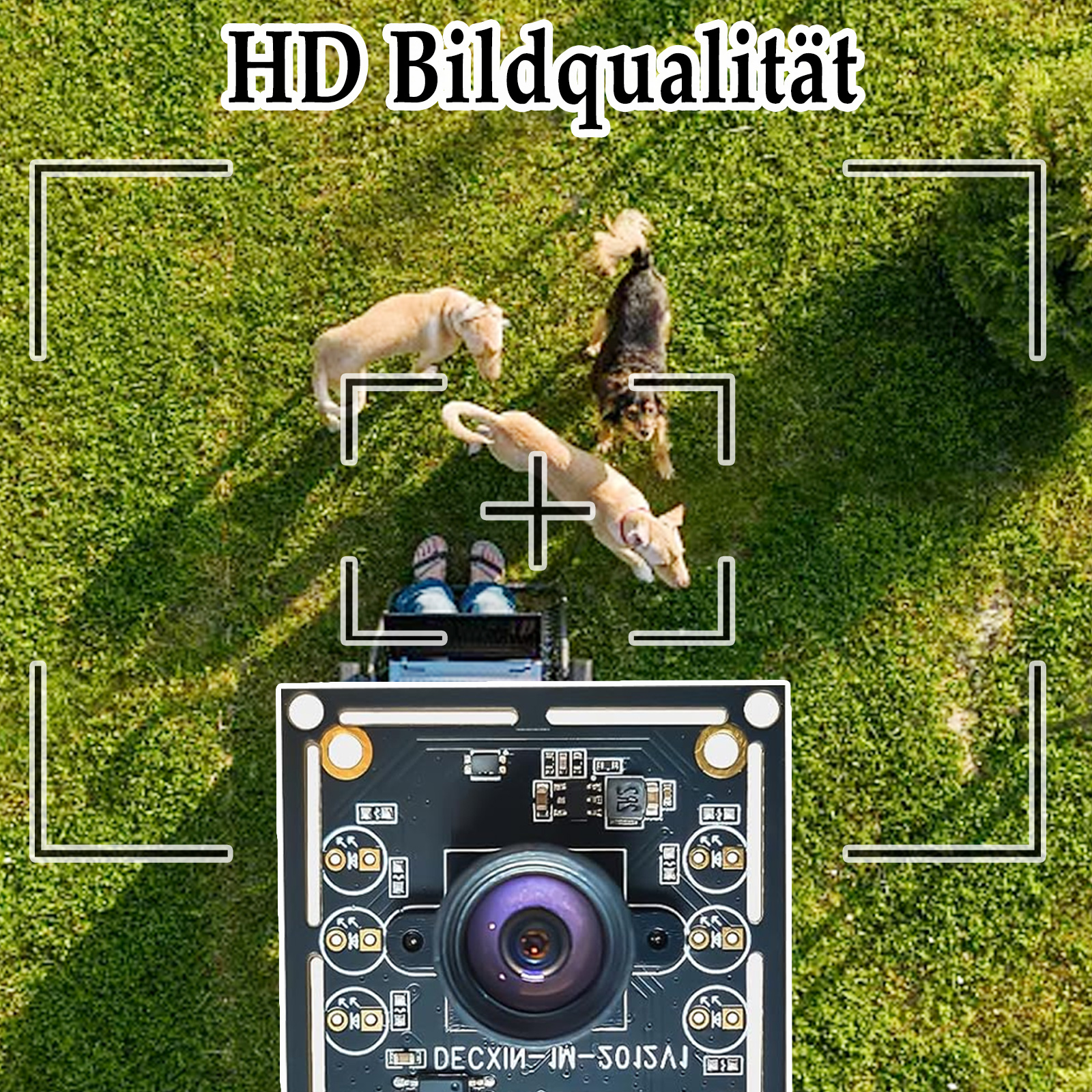 Kamera, die auf Hunde auf Gras mit HD Bildqualität Text zeigt.