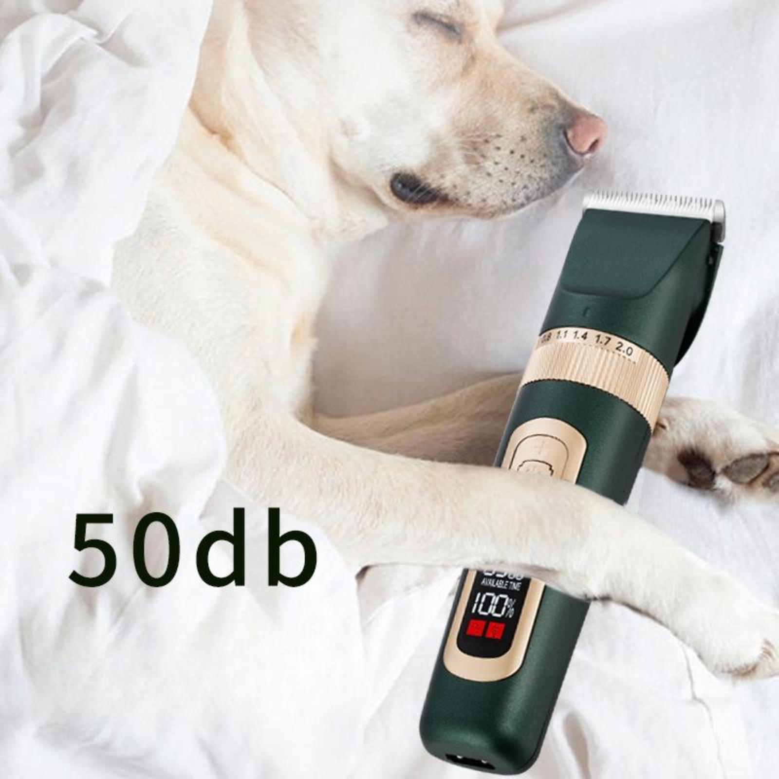 Schlafender Hund mit Haarschneider, zeigt einen Geräuschpegel von 50 dB an.