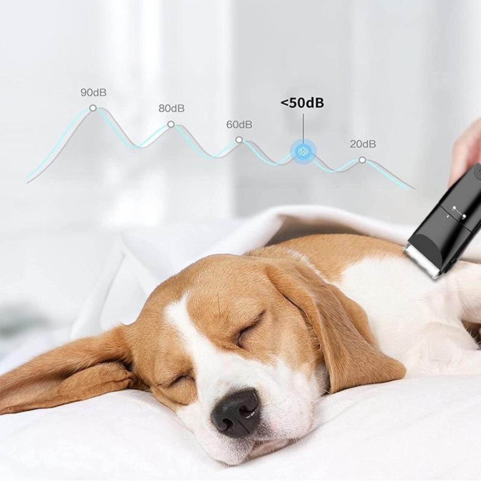 Hund schläft auf weißem Bett, Haarschneidewerkzeug in der Nähe und ein Diagramm mit Schallpegeln.
