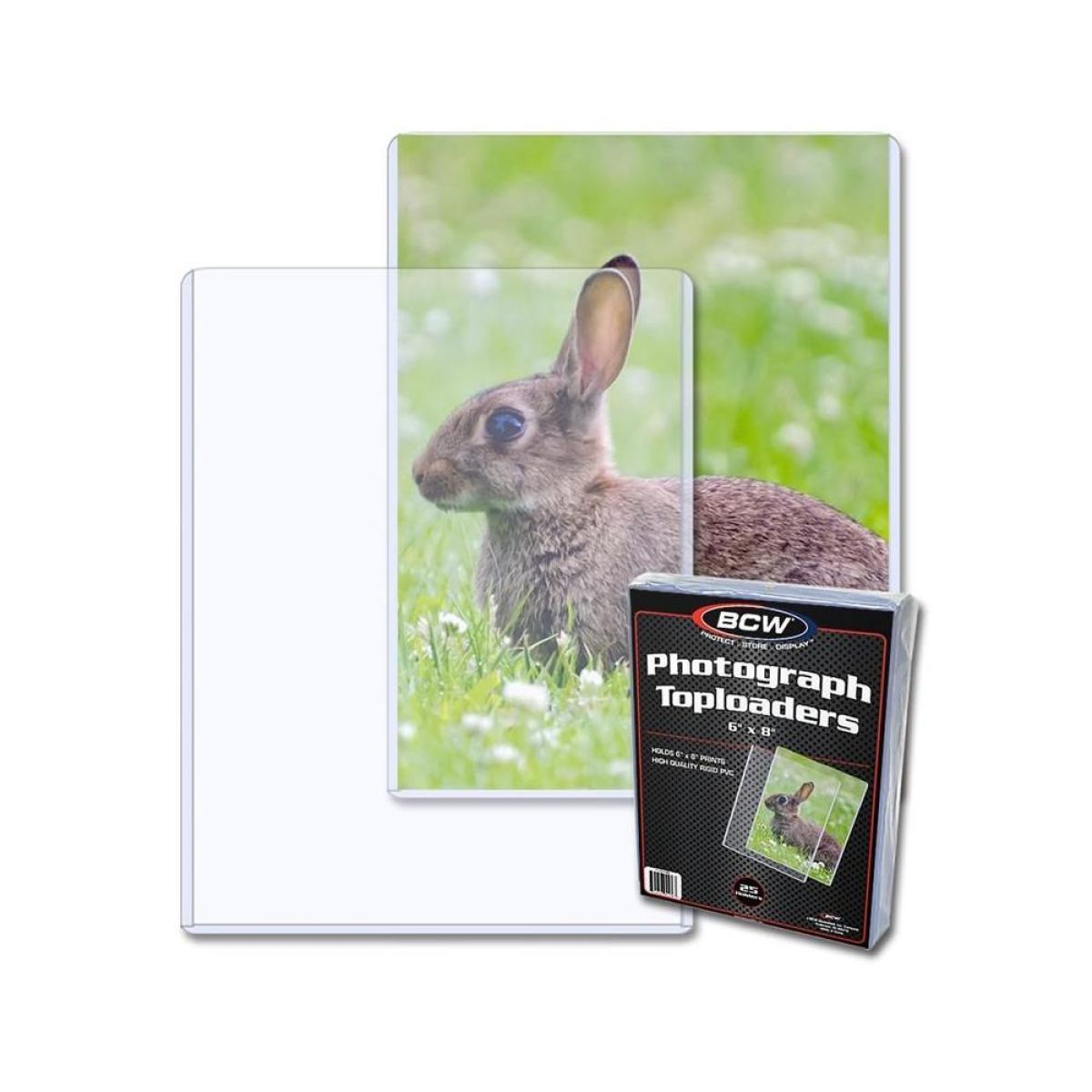 Ein Hase sitzt im grünen Gras, eine durchsichtige Plastikhülle und eine Packung Foto-Toploader.