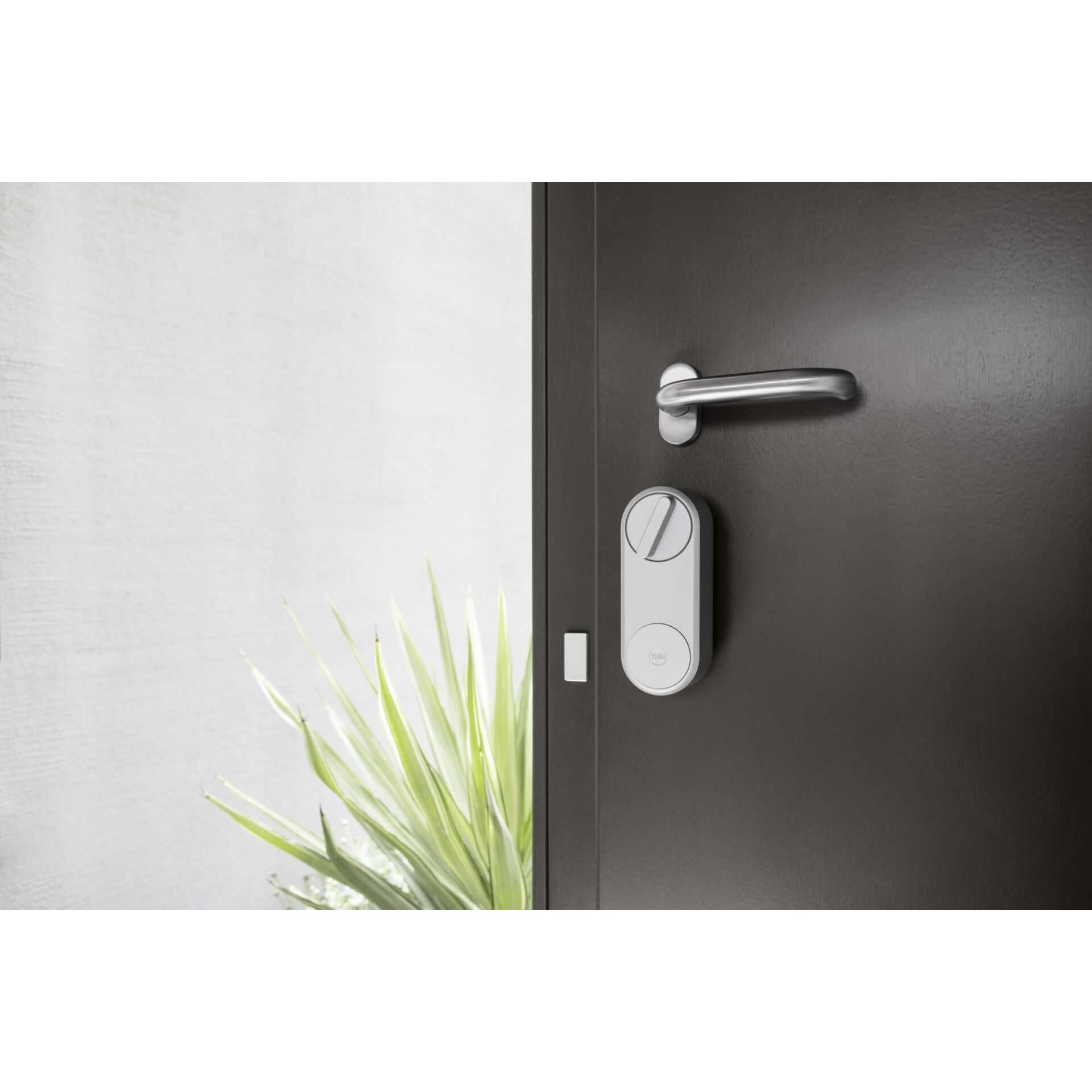 Ein silbernes Smart Lock an einer dunkelgrauen Tür mit Griff. Im Vordergrund eine Pflanze.
