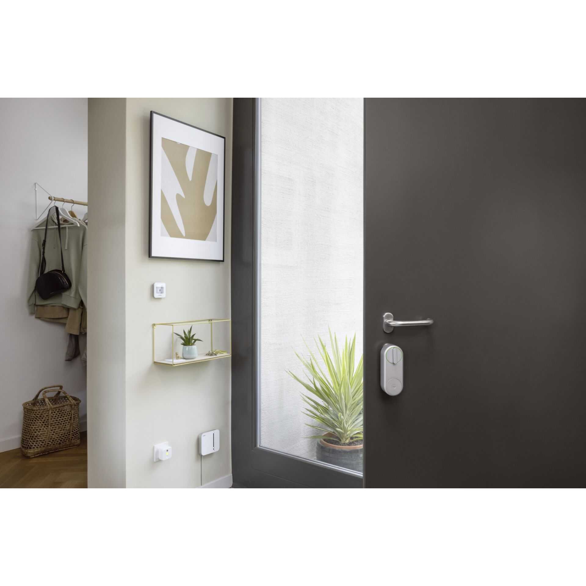 Innenraum mit Tür, Smart Lock und Fenster. Ein Gemälde und Regal an der Wand. Eine Pflanze ist sichtbar.