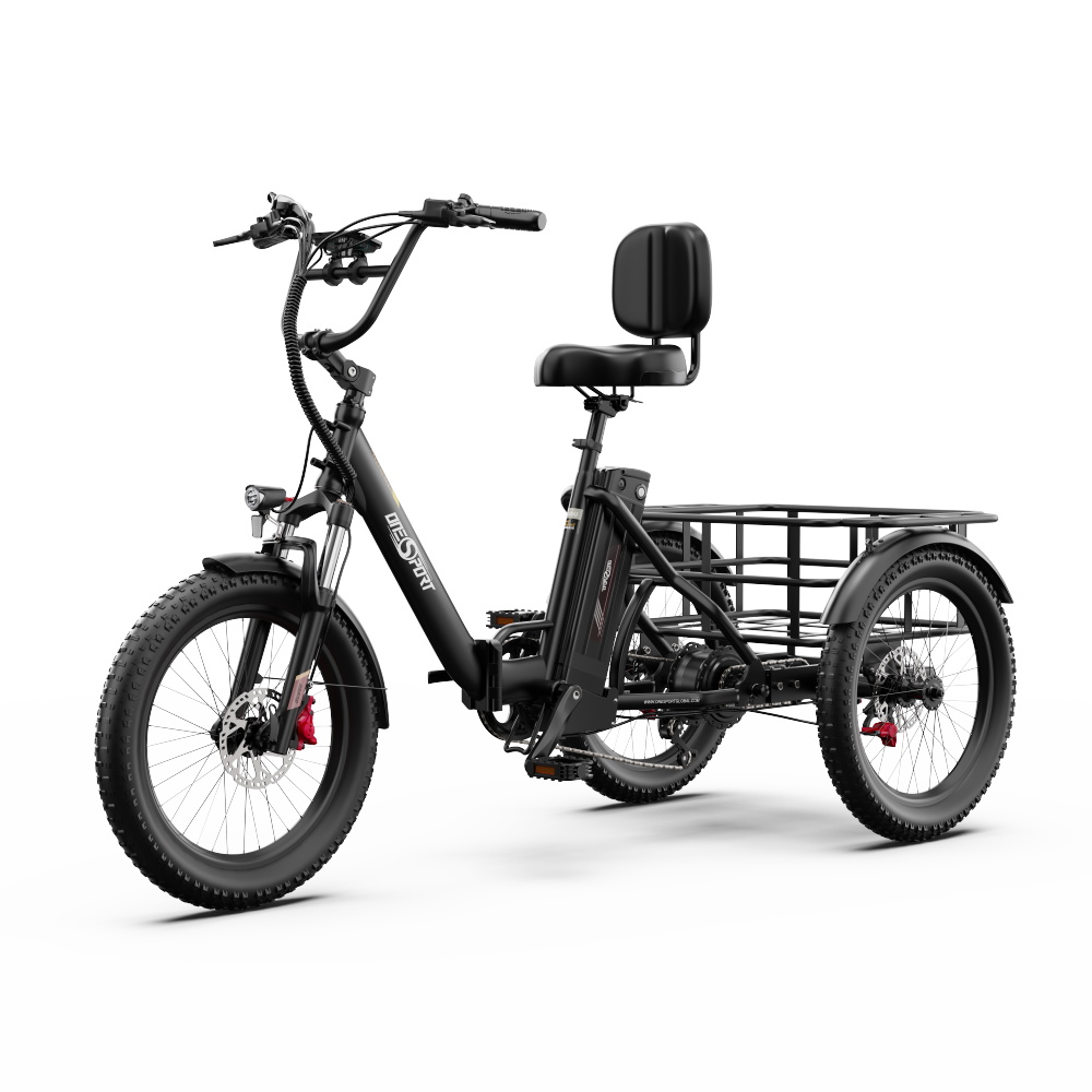 Schwarzes Trike-Fahrrad mit schwarzen Kotflügeln, Korb und Sitz. Die Reifen sind schwarz. Frontlicht ist sichtbar.