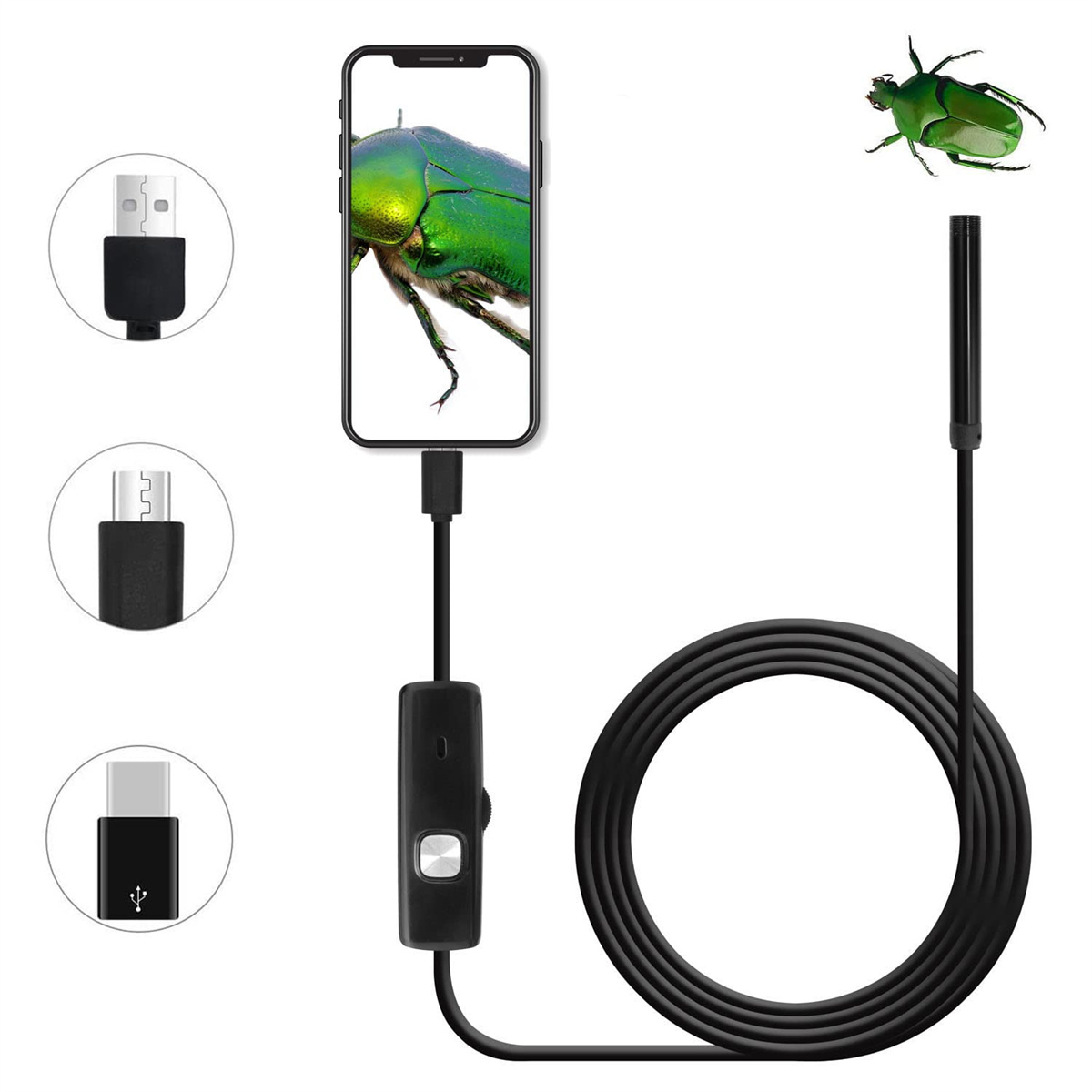 Ein Gerät mit Kamera an einem Kabel, das mit einem Telefon verbunden ist, das einen grünen Käfer zeigt. USB-Kabel sind vorhanden.