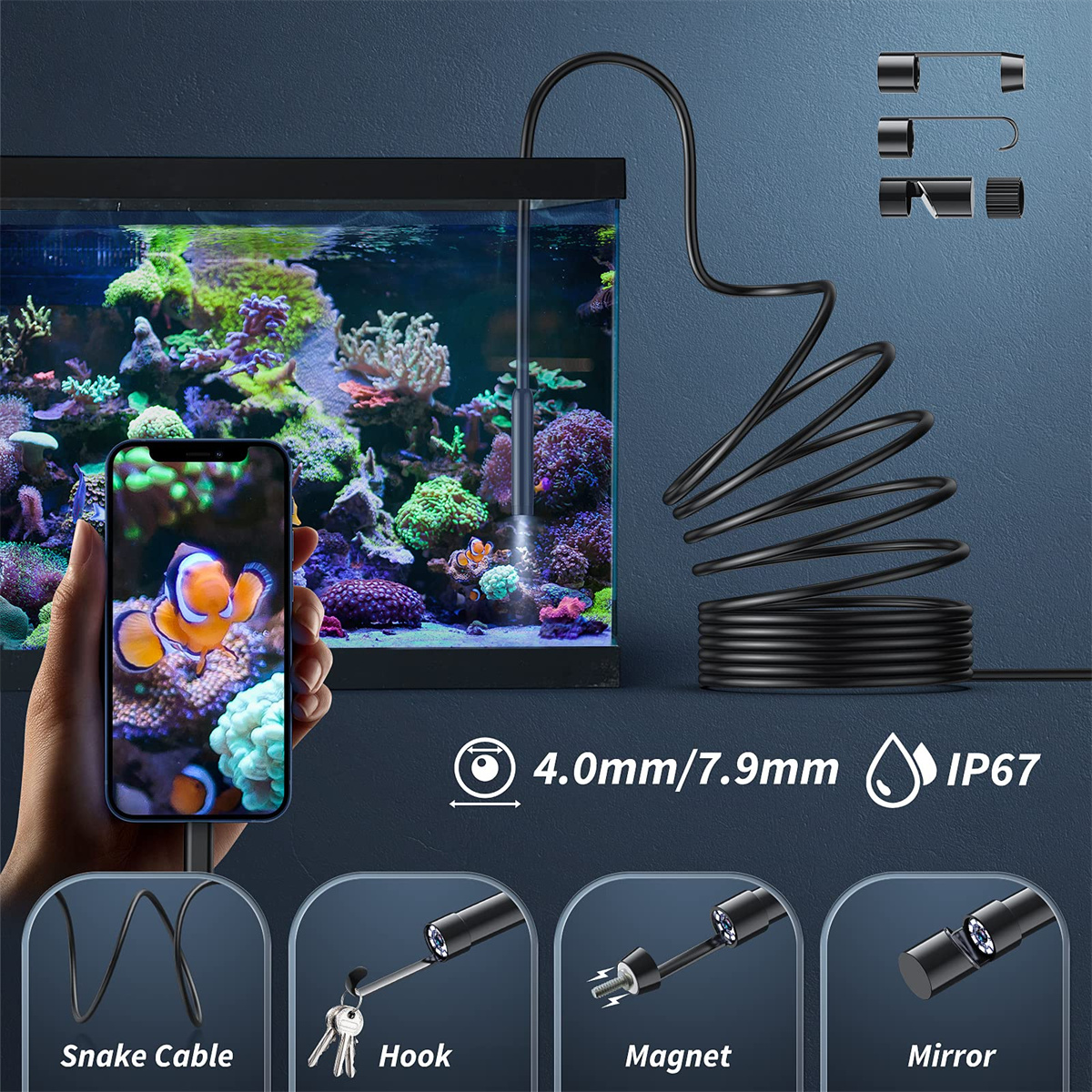 Endoskop in Gebrauch in einem Aquarium. Ein Telefon zeigt die Innenansicht, das Endoskop hat Zubehör.