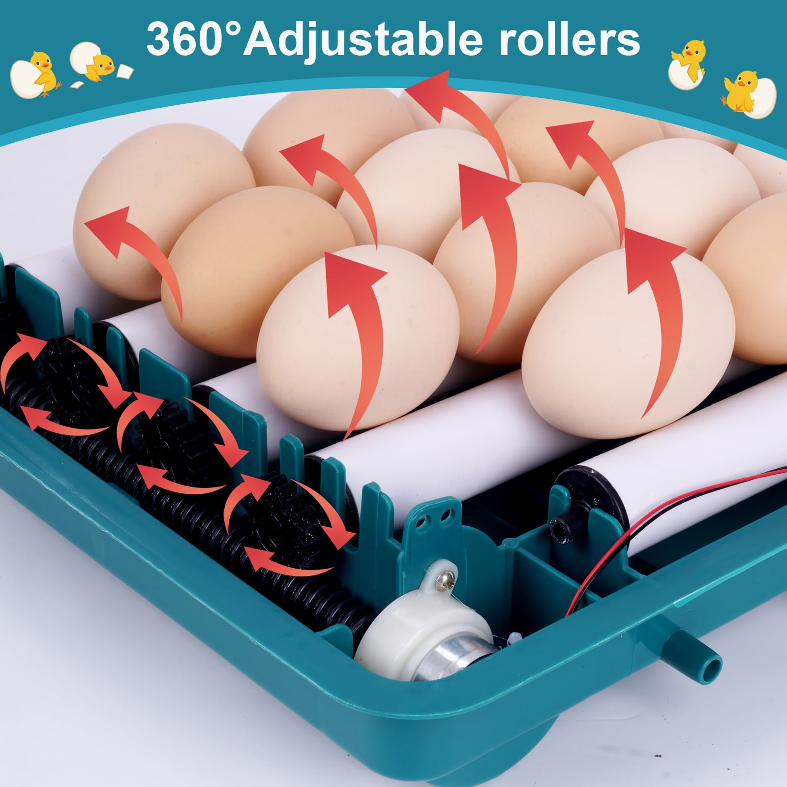 Ein Inkubator mit Eiern im Inneren, rote Pfeile zeigen die 360-Grad-Rollen.