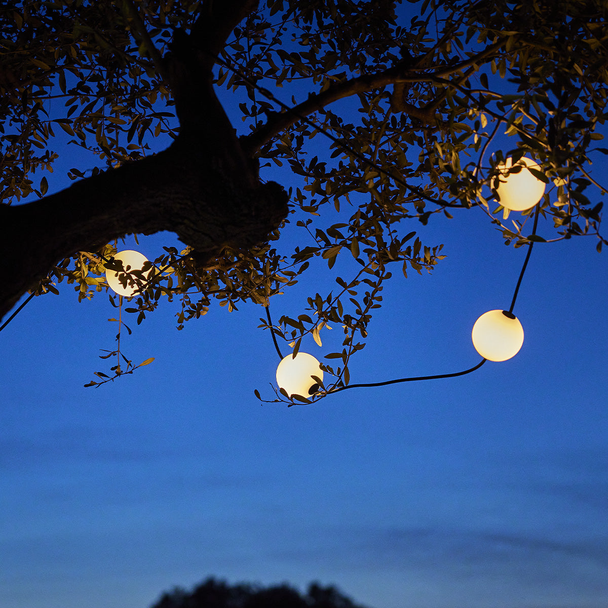 Ein Baum mit Lichtern. Die Lichter sind weiße Kugeln, die an dem Baum hängen.
