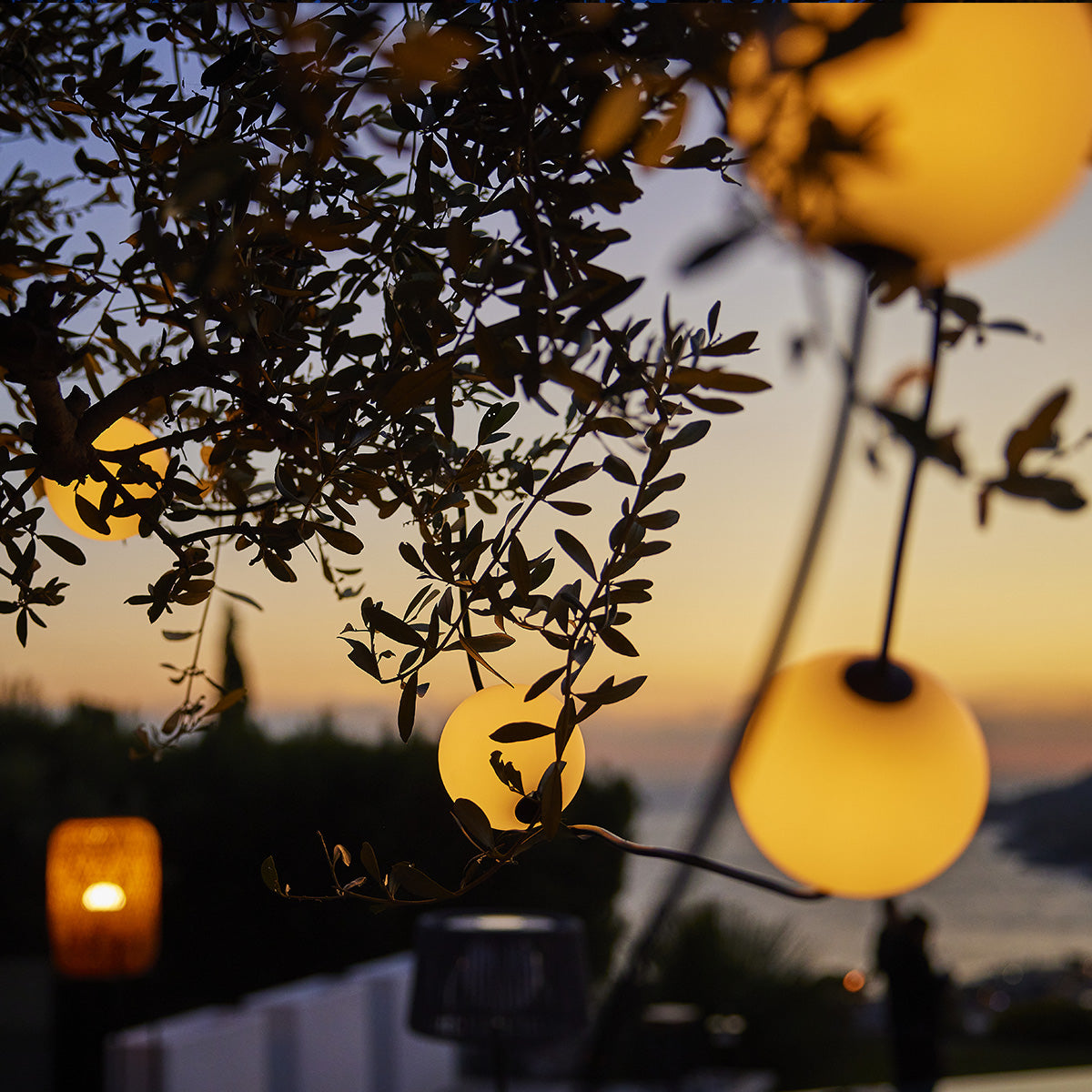 Außenlichter hängen an einem Baum. Sonnenuntergang im Hintergrund.