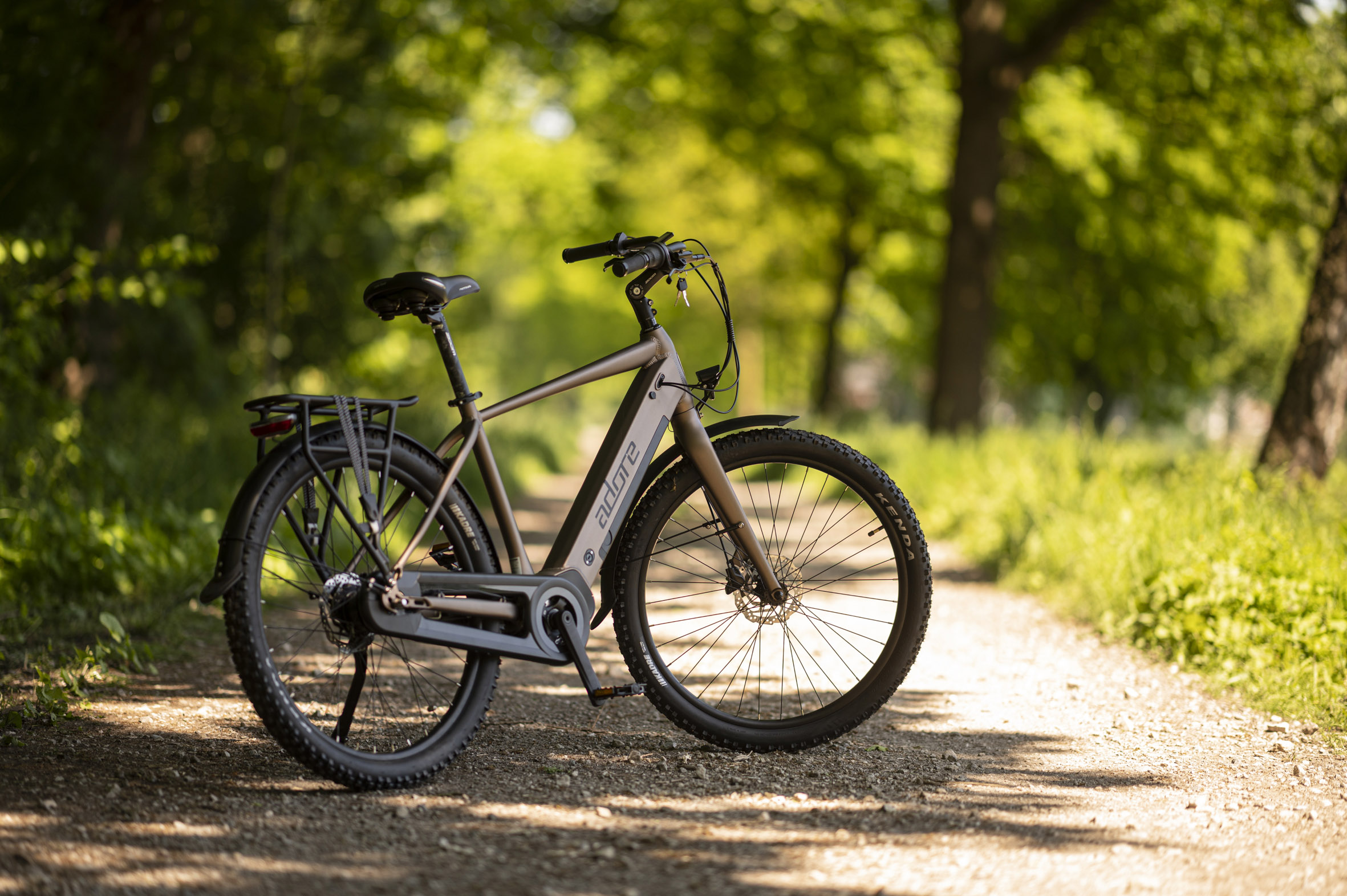 Ein E-Bike steht auf einem Weg in der Natur. Das Fahrrad ist braun und schwarz, mit grünen Bäumen und Gras im Hintergrund.