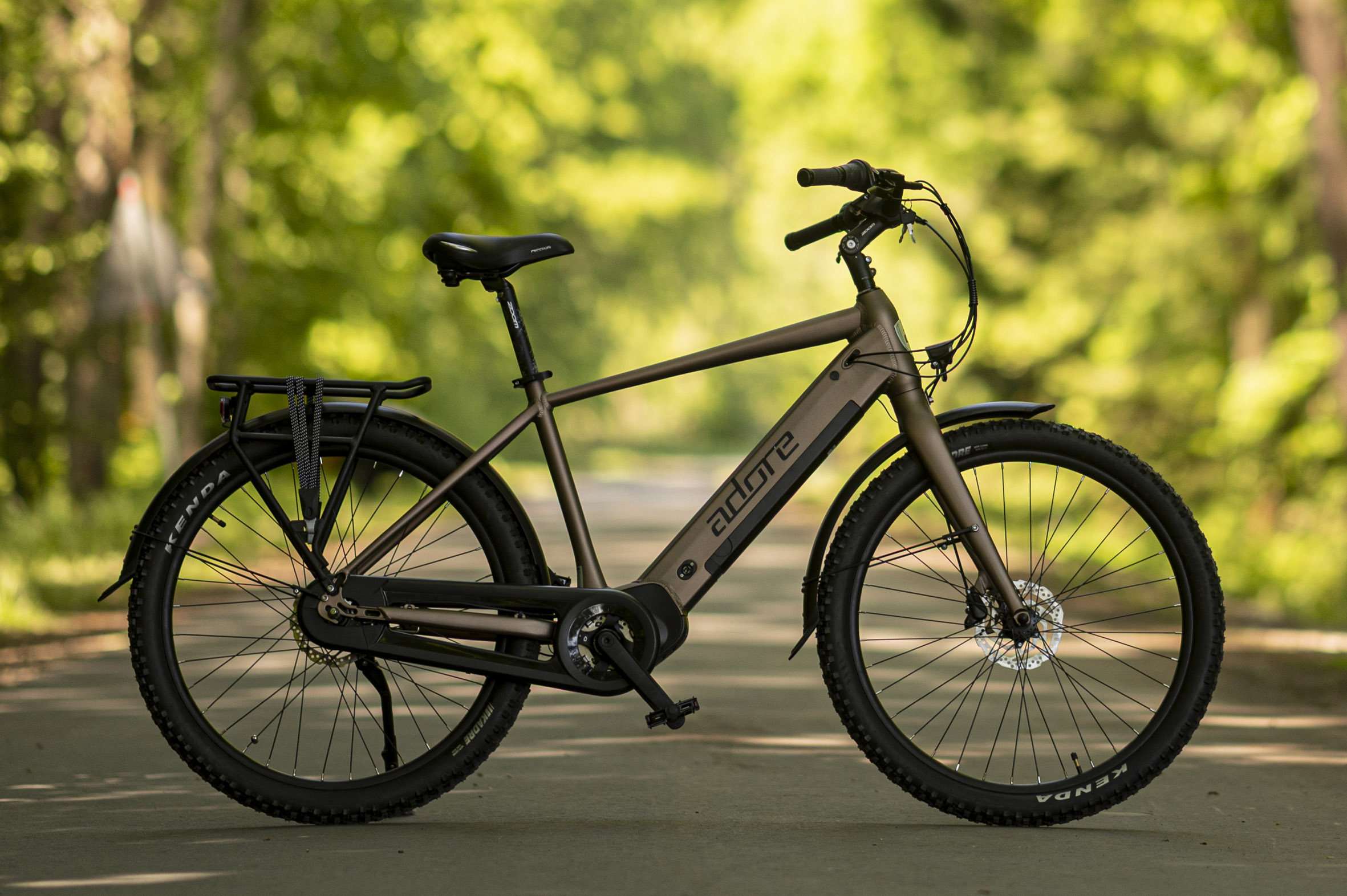 Braunes Elektrofahrrad auf einer Straße. Grüne Bäume im Hintergrund.